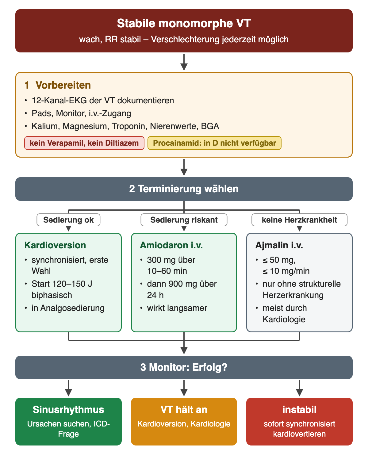 Flussdiagramm stabile monomorphe VT: Vorbereitung mit 12-Kanal-EKG, Pads und Labor, dann Wahl der Terminierung – synchronisierte Kardioversion mit 120 bis 150 J, Amiodaron 300 mg oder Ajmalin bei fehlender Herzerkrankung –, danach Erfolgskontrolle am Monitor mit drei möglichen Ergebnissen.