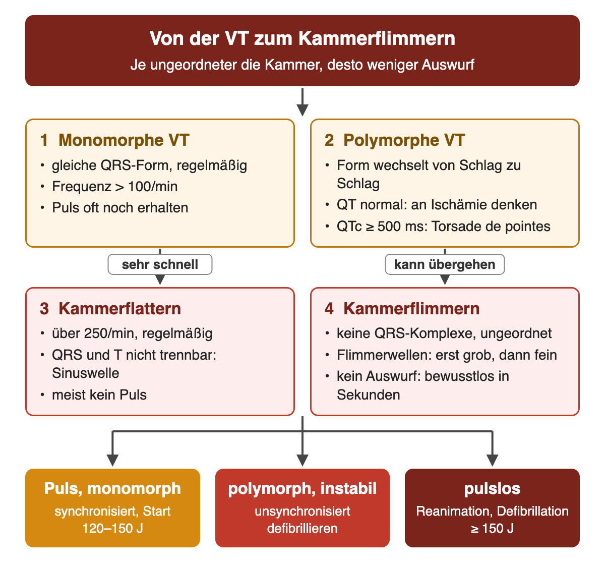 Vier nummerierte Felder: monomorphe VT, polymorphe VT, Kammerflattern über 250 pro Minute und Kammerflimmern ohne QRS-Komplexe, mit Pfeilen für den möglichen Übergang; Ergebnisreihe synchronisierte Kardioversion mit 120 bis 150 J, unsynchronisierte Defibrillation bei instabiler polymorpher VT, Reanimation und Defibrillation mit mindestens 150 J bei Pulslosigkeit.