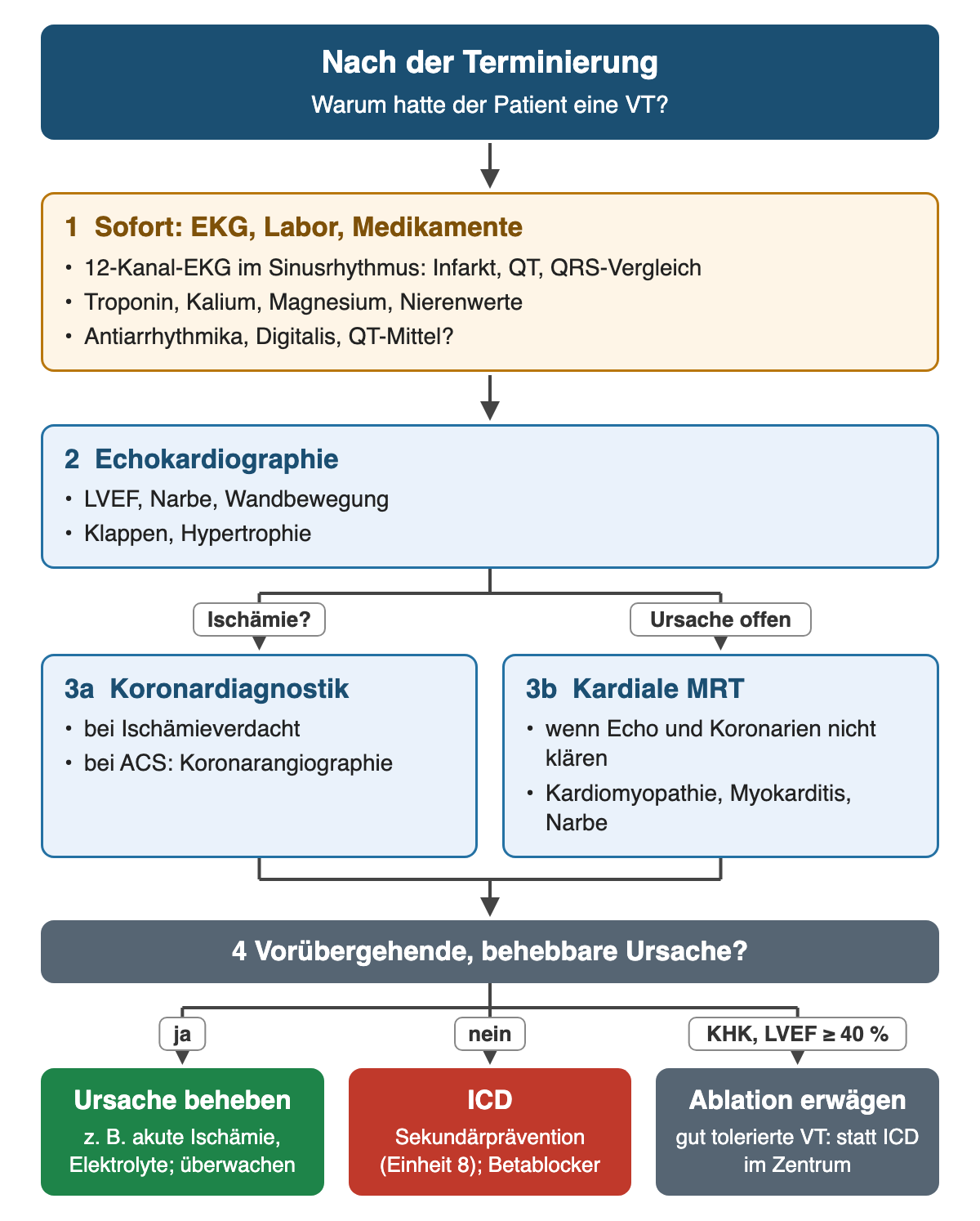 Flussdiagramm nach der Terminierung: EKG, Labor und Medikamente, Echokardiographie, dann Koronardiagnostik oder kardiale MRT, schließlich die Frage nach einer vorübergehenden, behebbaren Ursache mit den Ergebnissen Ursache beheben, ICD oder bei KHK mit LVEF ab 40 Prozent Ablation erwägen.