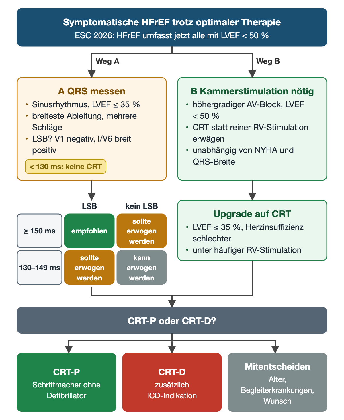 Zwei Wege: Weg A bei Sinusrhythmus und LVEF bis 35 % mit QRS-Messung und einer Matrix aus QRS-Dauer und -Form: LSB ab 150 ms empfohlen, LSB 130–149 ms und kein LSB ab 150 ms sollte erwogen werden, kein LSB 130–149 ms kann erwogen werden, unter 130 ms keine CRT; Weg B bei höhergradigem AV-Block und LVEF unter 50 % CRT statt RV-Stimulation sowie Upgrade bei häufiger RV-Stimulation; unten die Wahl zwischen CRT-P und CRT-D