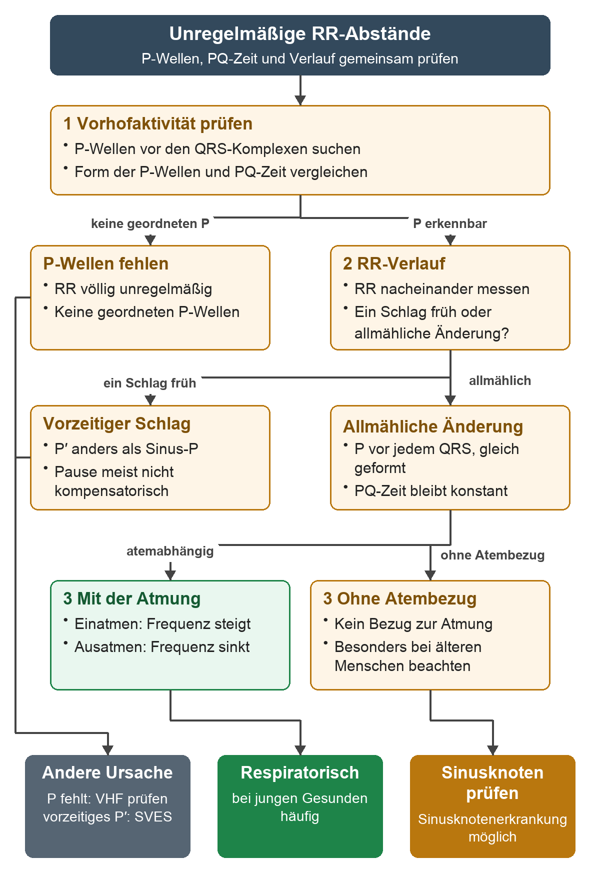 Entscheidungsweg bei unregelmäßigen RR-Abständen: zuerst P-Wellen und PQ prüfen, dann einzelne vorzeitige Schläge von allmählicher Änderung trennen und den Atembezug beurteilen; die Ergebnisse sind andere Rhythmusursache, respiratorische Sinusarrhythmie oder möglicher Hinweis auf eine Sinusknotenerkrankung.