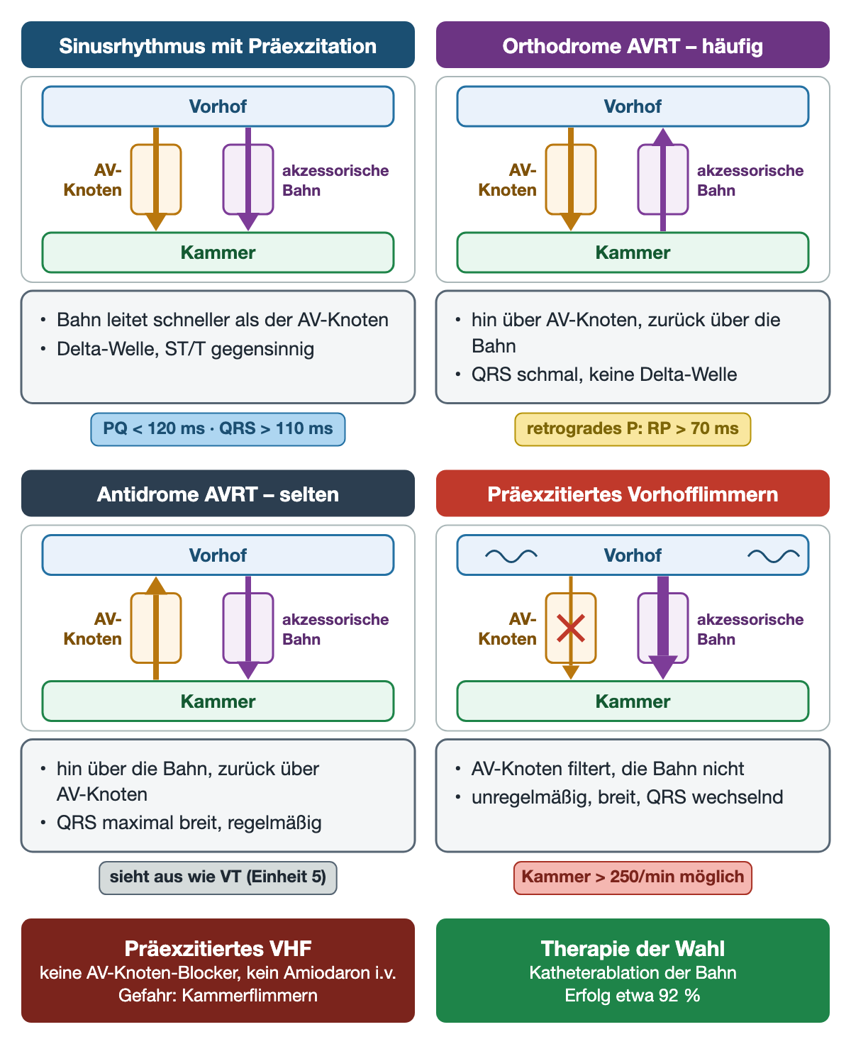 Vier Schemata der Leitung über AV-Knoten und akzessorische Bahn: Sinusrhythmus mit Präexzitation (PQ unter 120 ms, QRS über 110 ms), orthodrome AVRT (RP über 70 ms), antidrome AVRT (wie VT) und präexzitiertes Vorhofflimmern (Kammer über 250/min möglich); darunter Warnung vor AV-Knoten-Blockern und Ablation als Therapie der Wahl