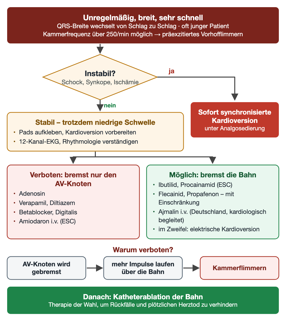 Präexzitiertes Vorhofflimmern: unregelmäßige, breite, sehr schnelle Tachykardie; instabil sofort synchronisierte Kardioversion, stabil niedrige Schwelle; verboten Adenosin, Verapamil, Diltiazem, Betablocker, Digitalis und Amiodaron i.v.; möglich Ibutilid, Procainamid, eingeschränkt Flecainid und Propafenon, Ajmalin; Kette AV-Knoten gebremst, mehr Leitung über die Bahn, Kammerflimmern; danach Ablation