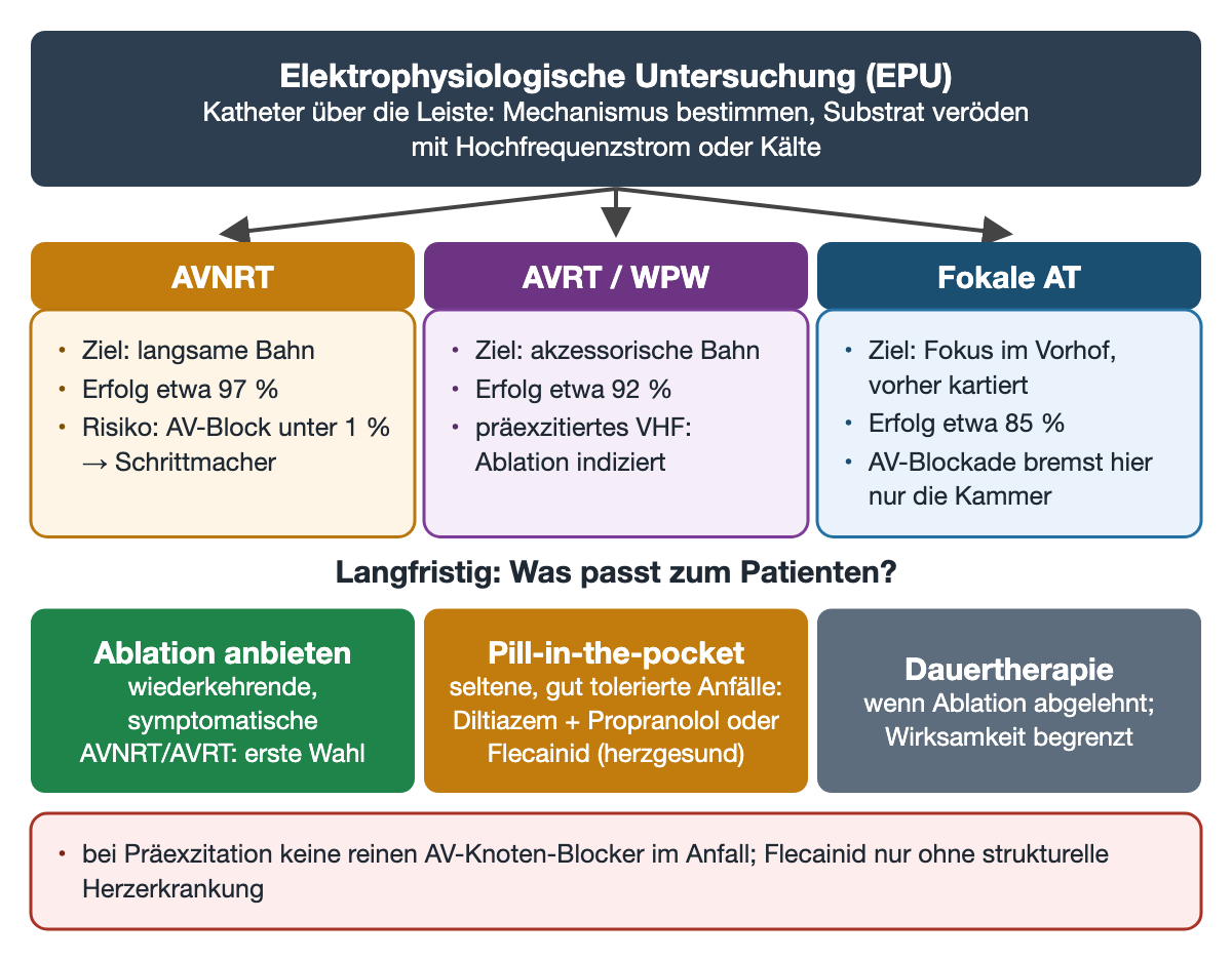 EPU mit Ablation: Ziel bei AVNRT die langsame Bahn (Erfolg etwa 97 %, AV-Block unter 1 %), bei AVRT die akzessorische Bahn (etwa 92 %), bei fokaler AT der Fokus (etwa 85 %); langfristig Ablation anbieten, Pill-in-the-pocket mit Diltiazem plus Propranolol oder Flecainid, oder Dauertherapie bei Ablehnung