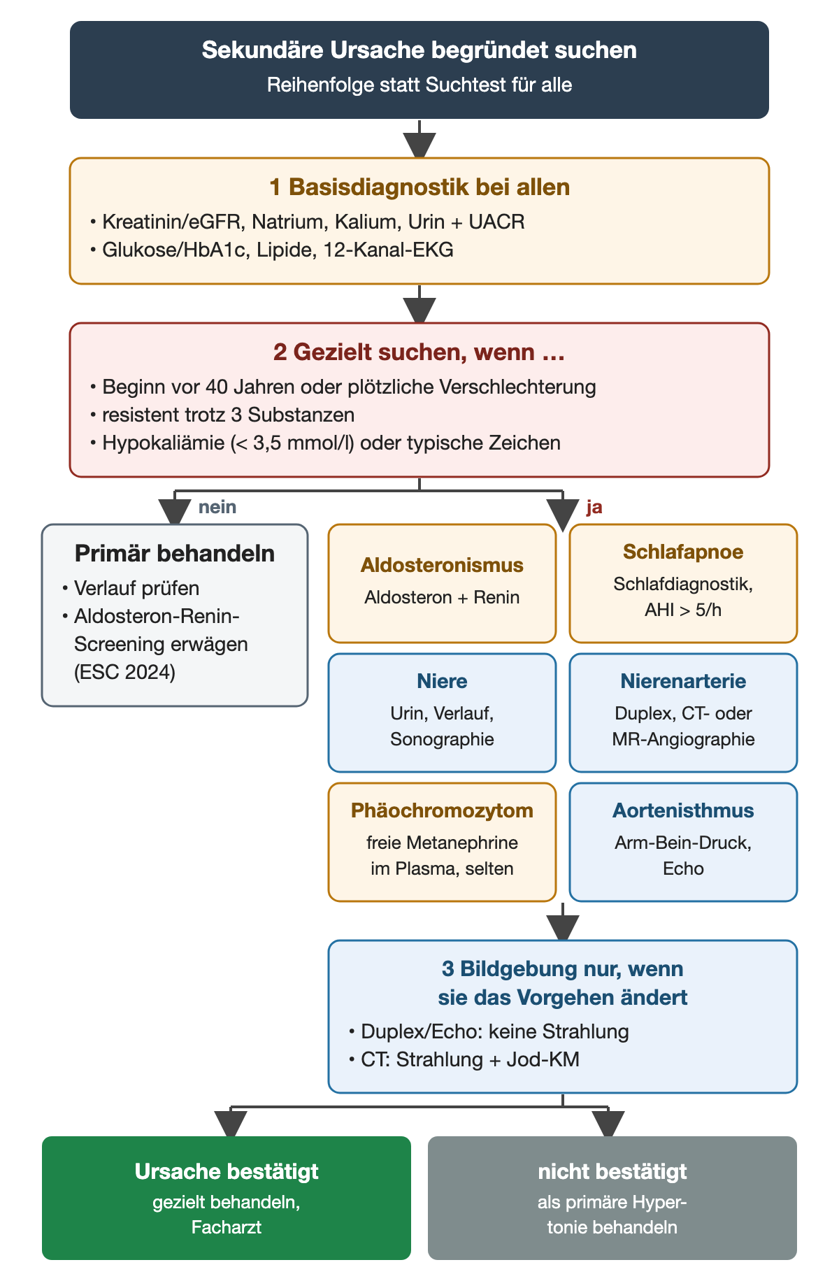 Drei nummerierte Schritte: Basisdiagnostik bei allen, Warnzeichen wie Beginn vor 40 Jahren, Resistenz trotz drei Substanzen oder Kalium unter 3,5 mmol/l; bei nein primär behandeln, bei ja sechs Testkästen von Aldosteron und Renin bis Arm-Bein-Druck und Echo; dann Bildgebung nur, wenn sie das Vorgehen ändert; unten zwei farbige Ergebnisse: Ursache bestätigt oder nicht bestätigt.