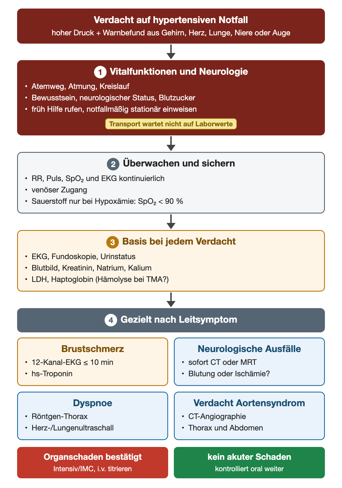 Akutversorgung in vier Schritten: Vitalfunktionen und Neurologie mit früher Einweisung, Überwachung mit Sauerstoff erst bei SpO2 unter 90 Prozent, Basisdiagnostik mit EKG, Fundoskopie, Blutbild, Kreatinin, Elektrolyten, LDH, Haptoglobin und Urin, danach gezielt nach Leitsymptom: EKG binnen 10 Minuten und Troponin, CT oder MRT des Gehirns, Röntgen und Ultraschall, CT-Angiographie der Aorta.
