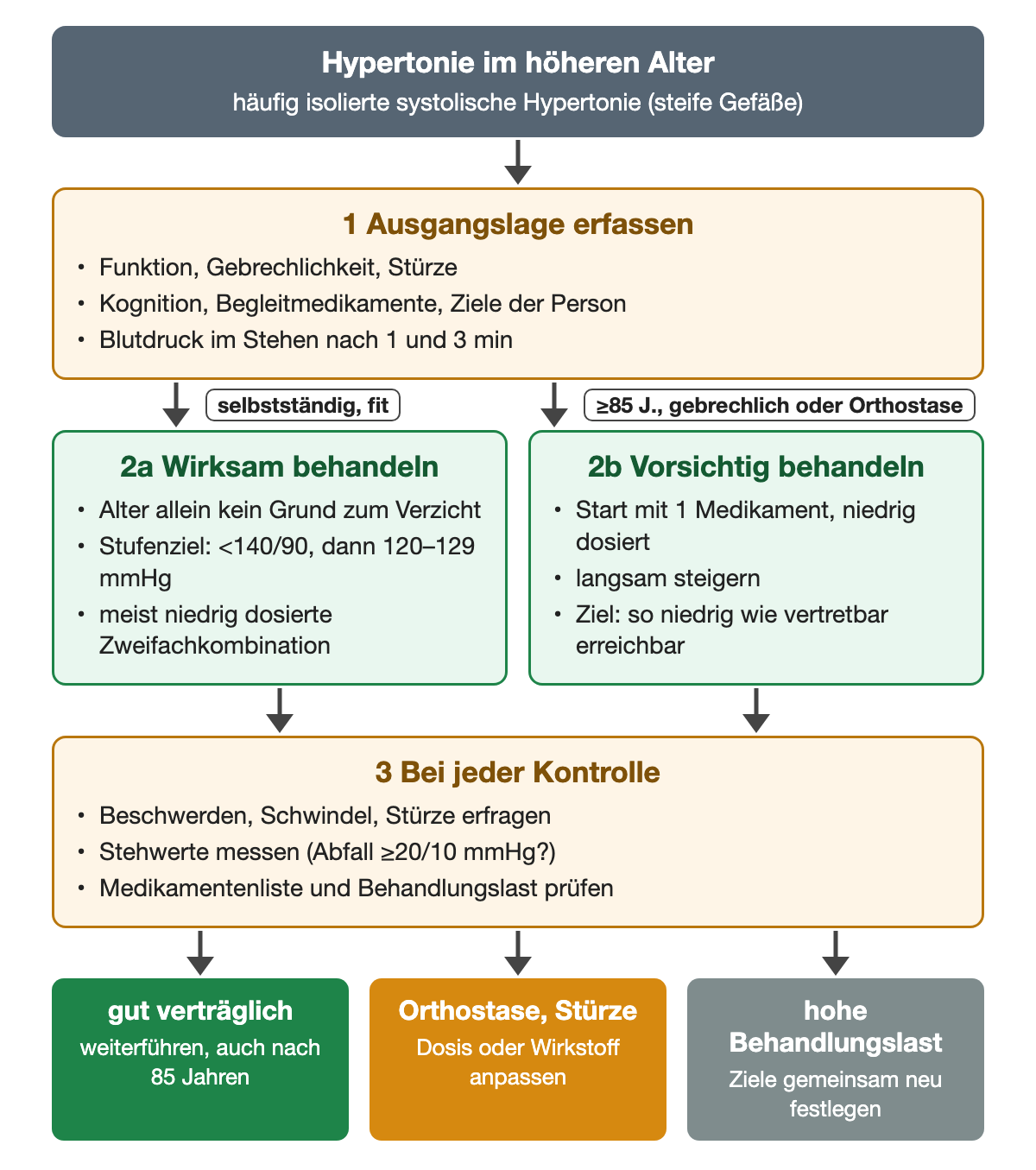 Bei älteren Menschen werden zuerst Funktion, Gebrechlichkeit, Stürze, Kognition, Medikamente und Stehwerte erfasst. Selbstständige Personen werden mit dem Stufenziel wirksam behandelt; ab 85 Jahren, bei Gebrechlichkeit oder Orthostase beginnt die Behandlung mit einem niedrig dosierten Medikament und einem Ziel so niedrig wie vertretbar. Jede Kontrolle prüft Beschwerden, Stürze und Stehwerte.
