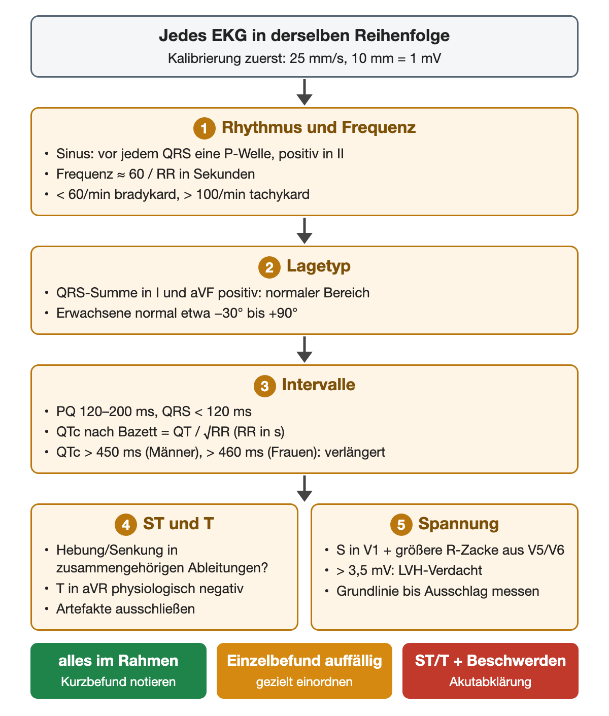 Befundschema in fester Reihenfolge nach Prüfung der Kalibrierung 25 mm/s und 10 mm/mV: 1 Rhythmus und Frequenz, Sinus mit P-Welle vor jedem QRS und positiv in II, Frequenz etwa 60 geteilt durch RR in Sekunden, unter 60/min bradykard, über 100/min tachykard. 2 Lagetyp, QRS-Summe in I und aVF positiv bedeutet normalen Bereich, bei Erwachsenen etwa −30° bis +90°. 3 Intervalle, PQ 120 bis 200 ms, QRS unter 120 ms, QTc nach Bazett gleich QT geteilt durch Wurzel aus RR, QTc über 450 ms bei Männern und über 460 ms bei Frauen verlängert. 4 ST und T, Hebung oder Senkung in zusammengehörigen Ableitungen, T in aVR physiologisch negativ, Artefakte ausschließen. 5 Spannung, S in V1 plus größere R-Zacke aus V5 oder V6, über 3,5 mV Hypertrophieverdacht. Ergebnis: unauffällig, Einzelbefund gezielt einordnen, oder ST/T-Veränderung mit Beschwerden führt zur Akutabklärung.