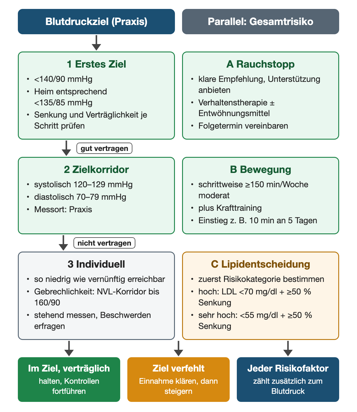 Links das Blutdruckziel in der Praxis: 1 erstes Ziel unter 140/90 mmHg, zu Hause entsprechend unter 135/85 mmHg; bei guter Verträglichkeit 2 Zielkorridor systolisch 120–129 und diastolisch 70–79 mmHg; wird er nicht vertragen, 3 individuell so niedrig wie vernünftig erreichbar, bei Gebrechlichkeit NVL-Korridor bis 160/90, stehend messen. Rechts parallel: A Rauchstopp mit Empfehlung, Unterstützung und Folgetermin; B Bewegung schrittweise mindestens 150 Minuten pro Woche plus Krafttraining; C Lipidentscheidung nach Risikokategorie, hoch LDL unter 70 mg/dl, sehr hoch unter 55 mg/dl, jeweils mit mindestens 50 Prozent Senkung. Ergebniszeile: im Ziel, Ziel verfehlt, jeder Risikofaktor zählt.