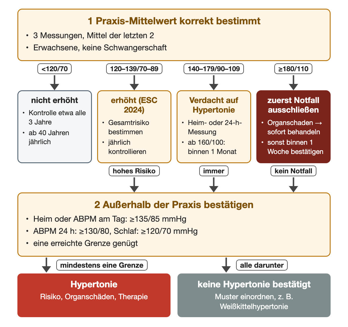 Vom korrekt bestimmten Praxis-Mittelwert in vier Bereiche: unter 120/70 mmHg Kontrolle etwa alle drei Jahre, ab 40 Jahren jährlich; 120–139/70–89 erhöhter Blutdruck mit Risikobestimmung, Bestätigung bei hohem Risiko und jährlicher Kontrolle; 140–179/90–109 Verdacht auf Hypertonie mit Heim- oder 24-Stunden-Messung, ab 160/100 binnen höchstens einem Monat; ab 180/110 zuerst Notfall ausschließen, sonst Bestätigung binnen einer Woche. Bei hohem Risiko, bei 140–179/90–109 immer und ab 180/110 ohne Notfall folgt die Bestätigung außerhalb der Praxis. Ergebniszeile: mindestens eine Grenze erreicht, Hypertonie; alle darunter, keine Hypertonie bestätigt, Muster einordnen.