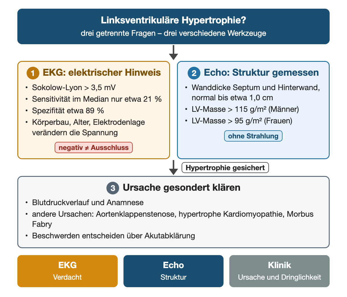 Drei getrennte Fragen zur linksventrikulären Hypertrophie: Erstens liefert das EKG einen elektrischen Hinweis, Sokolow-Lyon über 3,5 mV, mit einer Sensitivität im Median von nur etwa 21 % und einer Spezifität von etwa 89 %; Körperbau, Alter und Elektrodenlage verändern die Spannung, ein negatives Ergebnis ist kein Ausschluss. Zweitens misst die Echokardiographie die Struktur: Wanddicke normal bis etwa 1,0 cm, LV-Masse über 115 g/m² bei Männern und über 95 g/m² bei Frauen. Drittens wird die Ursache gesondert geklärt: Blutdruckverlauf und Anamnese, andere Ursachen wie Aortenklappenstenose, hypertrophe Kardiomyopathie oder Morbus Fabry; Beschwerden entscheiden über eine Akutabklärung.