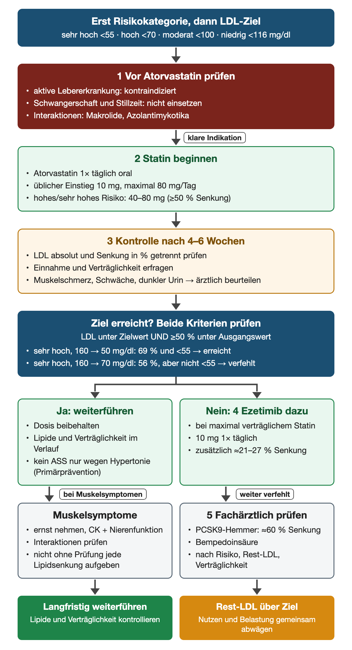 Die Risikokategorie bestimmt das LDL-Ziel (sehr hoch unter 55, hoch unter 70, moderat unter 100, niedrig unter 116 mg/dl). Erstens vor Atorvastatin aktive Lebererkrankung, Schwangerschaft, Stillzeit und Interaktionen mit Makroliden oder Azolantimykotika prüfen. Zweitens bei klarer Indikation einmal täglich oral beginnen, üblich 10 mg, maximal 80 mg, bei hohem Risiko 40–80 mg mit mindestens 50 % Senkung. Drittens nach 4–6 Wochen LDL absolut und prozentual, Einnahme und Verträglichkeit kontrollieren. Zielprüfung mit beiden Kriterien, Beispiele 160 auf 50 mg/dl erreicht, 160 auf 70 mg/dl verfehlt. Ja: weiterführen, kein ASS allein wegen Hypertonie; bei Muskelsymptomen CK, Nierenfunktion und Interaktionen prüfen. Nein: Ezetimib 10 mg einmal täglich, zusätzlich etwa 21–27 %; weiter verfehlt: PCSK9-Hemmer (etwa 60 %) oder Bempedoinsäure fachärztlich prüfen. Ergebniszeile: langfristig weiterführen oder Rest-LDL über Ziel gemeinsam abwägen.