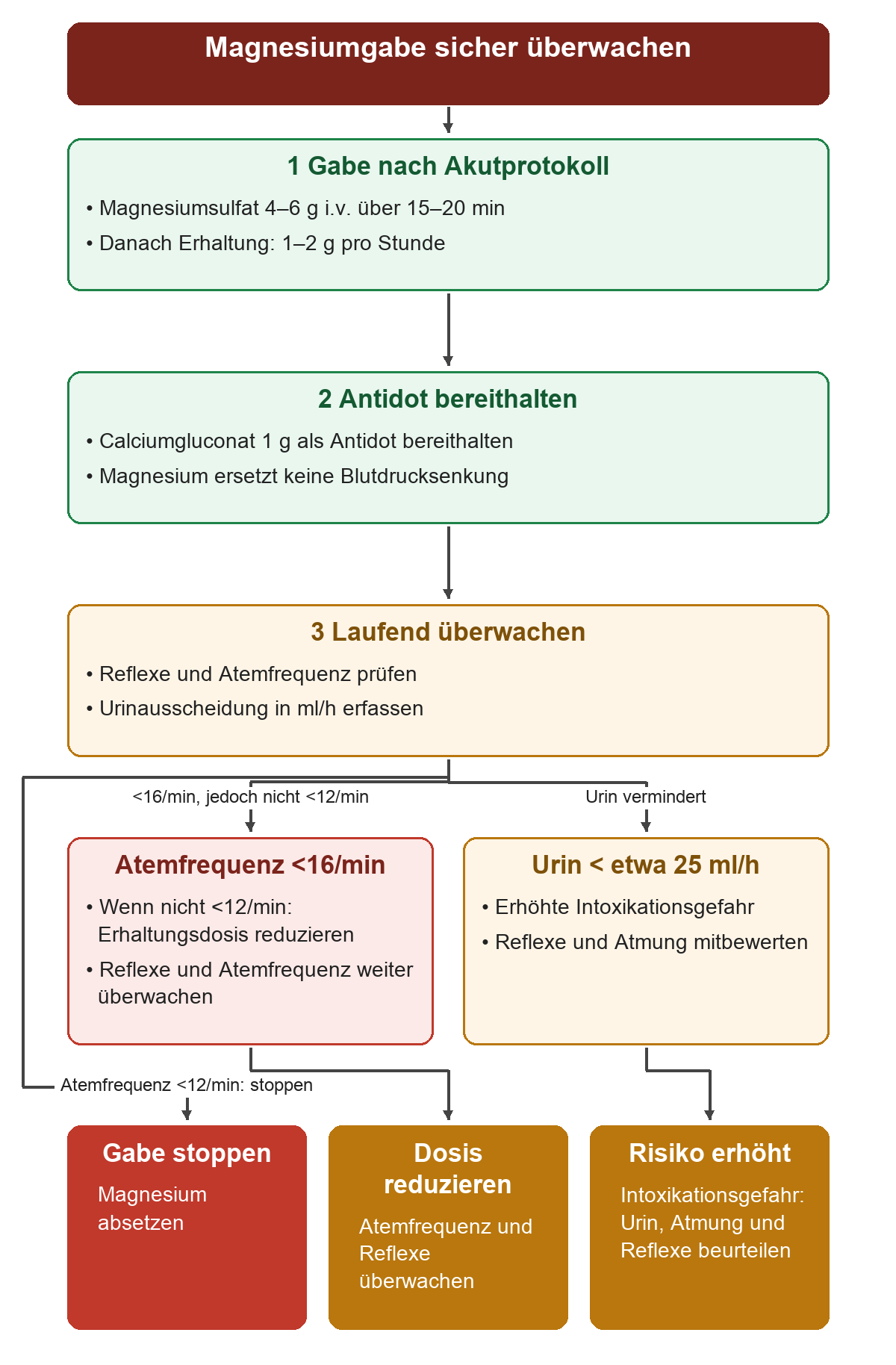 Nach Magnesiumsulfat 4–6 g über 15–20 Minuten folgt eine Erhaltung mit 1–2 g pro Stunde. Reflexe, Atemfrequenz und Urinmenge werden überwacht. Unter 16 Atemzügen pro Minute wird reduziert, unter 12 abgesetzt; unter 25 ml Urin pro Stunde steigt die Intoxikationsgefahr. Calciumgluconat 1 g liegt als Antidot bereit.