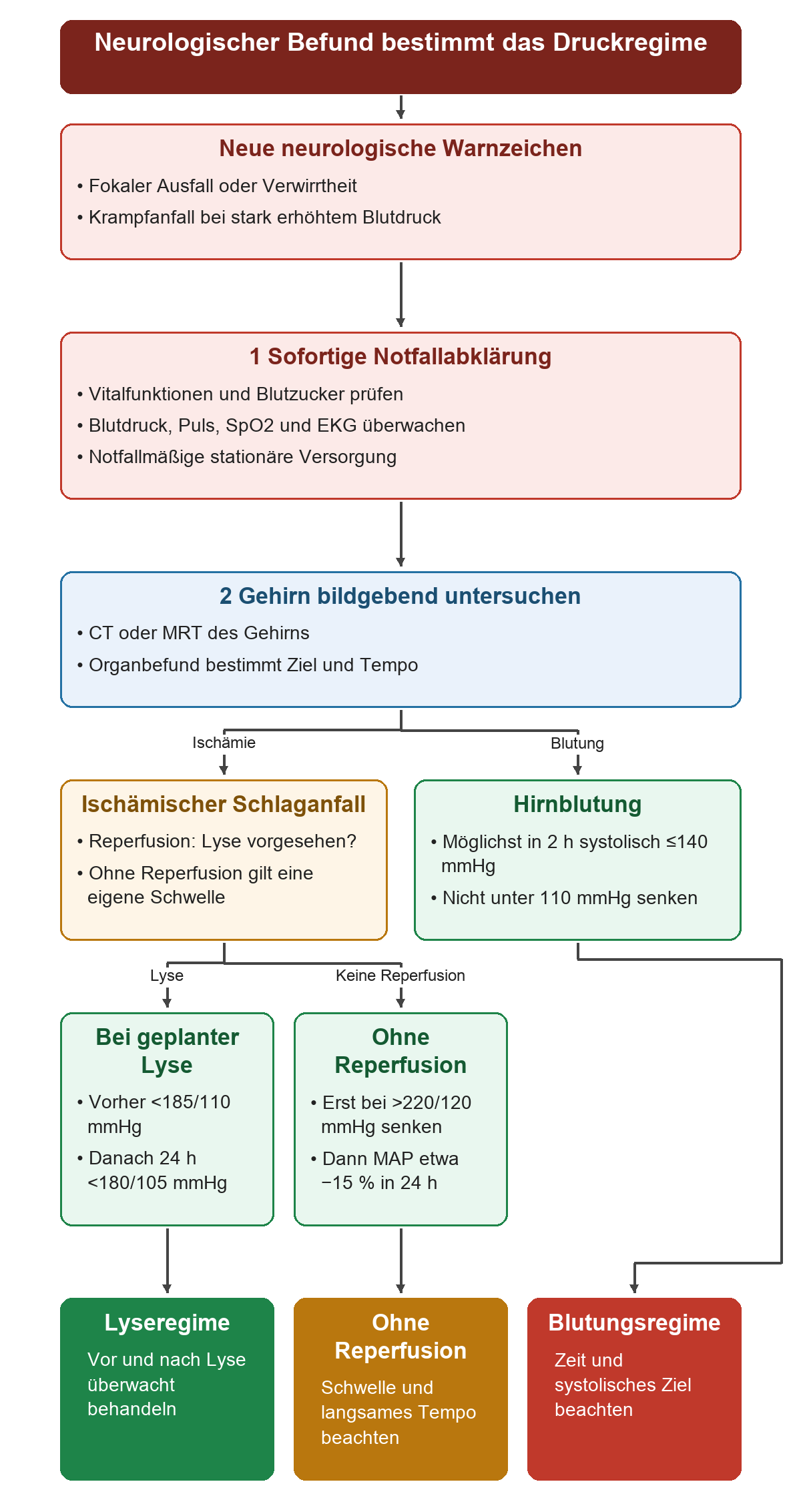 Neue fokale Ausfälle, Verwirrtheit oder Krampfanfall führen zur sofortigen neurologischen Notfallabklärung unter Überwachung und zur Bildgebung des Gehirns mit CT oder MRT. Bei ischämischem Schlaganfall gilt vor Lyse unter 185/110 mmHg, danach 24 Stunden unter 180/105 mmHg. Ohne Reperfusion wird erst oberhalb von 220/120 mmHg gesenkt, dann um etwa 15 Prozent des mittleren arteriellen Drucks in 24 Stunden. Bei Hirnblutung lautet das systolische Ziel möglichst binnen zwei Stunden höchstens 140 mmHg, aber nicht unter 110 mmHg. Beide Wege erfordern das jeweilige überwachte Organregime.