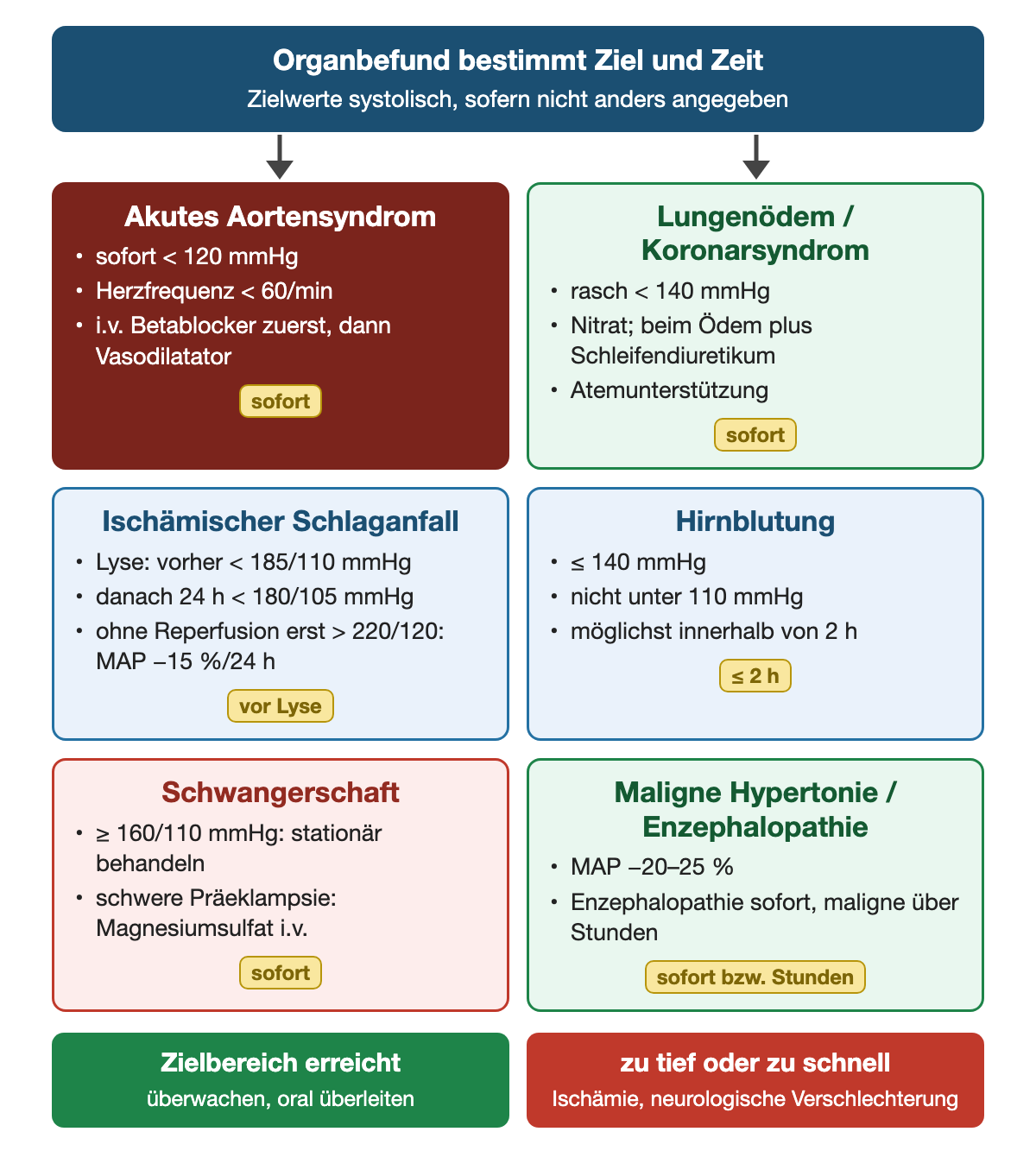 Sechs organspezifische Regime: Aortensyndrom sofort systolisch unter 120 und Herzfrequenz unter 60, Betablocker zuerst; Lungenödem oder Koronarsyndrom rasch unter 140 mit Nitrat und beim Ödem Schleifendiuretikum; ischämischer Schlaganfall vor Lyse unter 185/110, danach 24 Stunden unter 180/105, ohne Reperfusion erst ab 220/120 MAP minus 15 Prozent in 24 Stunden; Hirnblutung innerhalb von 2 Stunden höchstens 140, nicht unter 110; Schwangerschaft ab 160/110 stationär, bei schwerer Präeklampsie Magnesiumsulfat; maligne Hypertonie oder Enzephalopathie MAP minus 20 bis 25 Prozent.