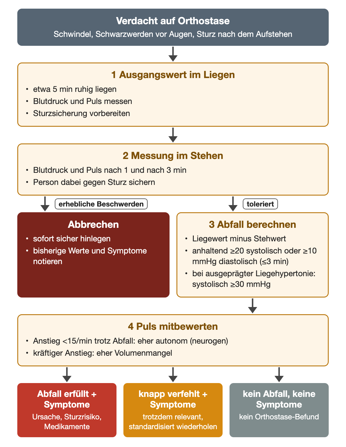 Ablauf vom Verdacht über fünf Minuten Liegeruhe und Messungen nach einer und drei Minuten im Stehen; bei erheblichen Beschwerden Abbruch, sonst Abfallberechnung mit den Grenzen 20/10 mmHg beziehungsweise systolisch 30 mmHg und Bewertung eines Pulsanstiegs unter 15/min. Ergebniszeile: Abfall erfüllt, knapp verfehlt mit Symptomen oder kein Abfall.