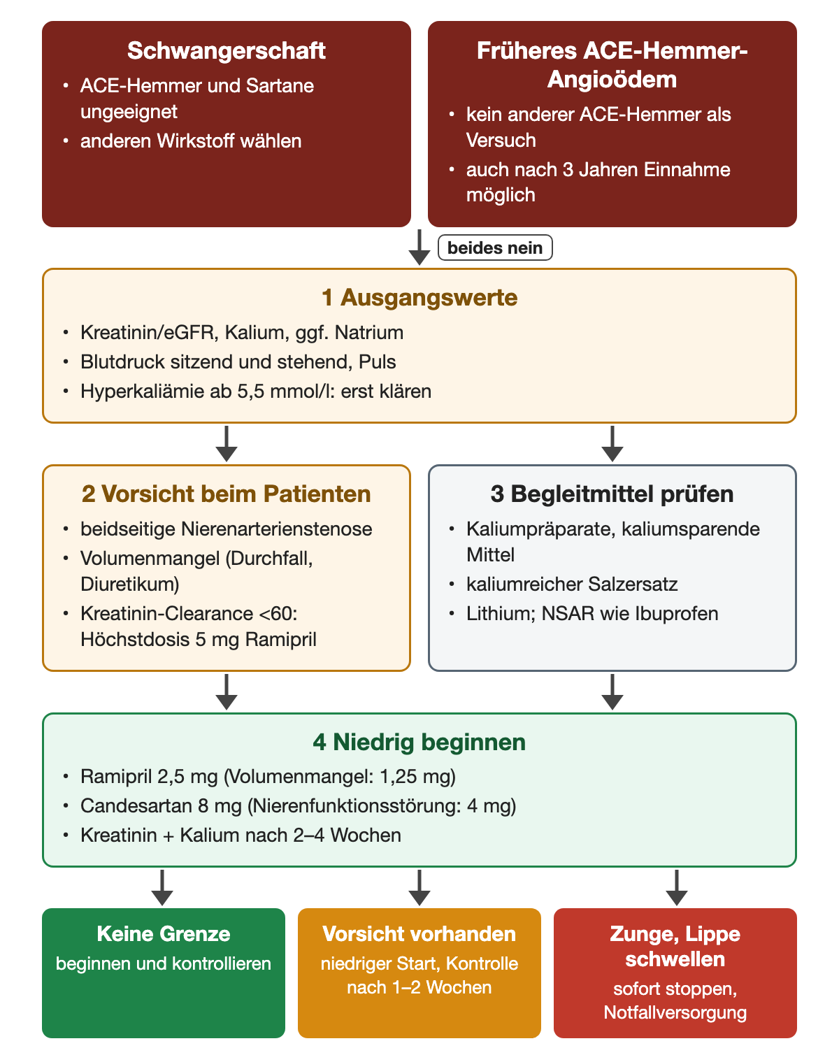 Zuerst zwei harte Grenzen: Schwangerschaft und früheres ACE-Hemmer-Angioödem. Danach Ausgangswerte (Kreatinin/eGFR, Kalium ab 5,5 mmol/l erst klären, Blutdruck stehend), Vorsicht bei beidseitiger Nierenarterienstenose, Volumenmangel und eingeschränkter Kreatinin-Clearance sowie Begleitmittel wie Kaliumpräparate, kaliumreicher Salzersatz, Lithium und NSAR. Dann niedrig beginnen, etwa Ramipril 2,5 mg oder Candesartan 8 mg, mit Kontrolle nach 2–4 Wochen.