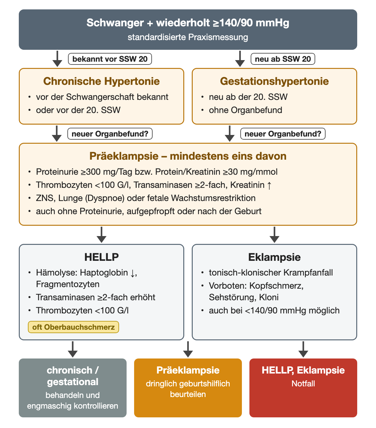 Wiederholt mindestens 140/90 mmHg in der Schwangerschaft: vor der 20. Woche bekannte Hypertonie ist chronisch, neue ab der 20. Woche ohne Organbefund gestationsbedingt. Präeklampsie liegt bei neuem Organbefund vor, etwa Proteinurie ab 300 mg/Tag oder Protein-Kreatinin-Quotient ab 30 mg/mmol, Thrombozyten unter 100 G/l oder Transaminasen ab dem Doppelten; HELLP und Eklampsie werden als Notfall eingeordnet.