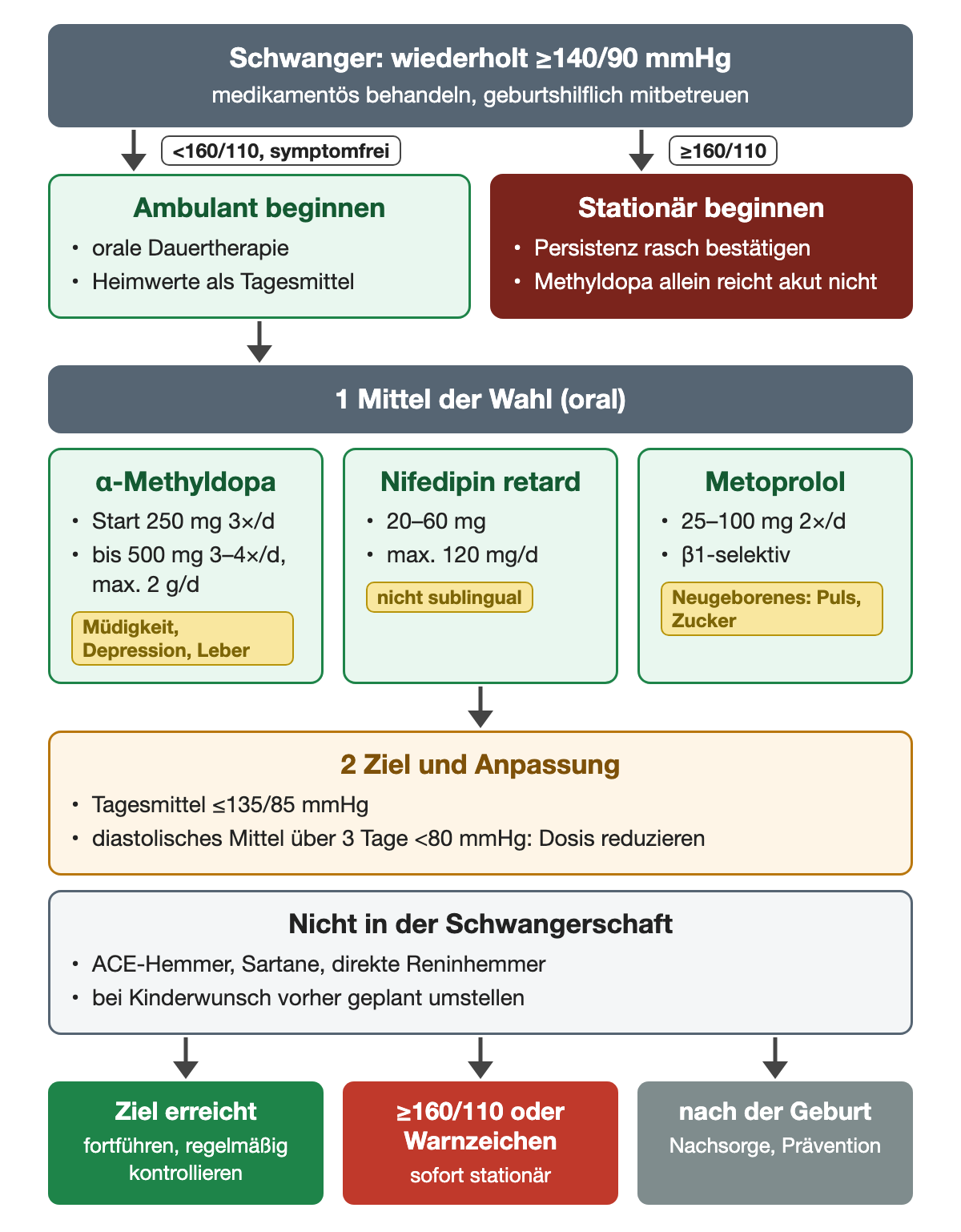 Bei wiederholt mindestens 140/90 mmHg wird unter 160/110 ohne Symptome ambulant, ab 160/110 stationär begonnen. Mittel der Wahl sind α-Methyldopa mit Start 250 mg dreimal täglich bis höchstens 2 g pro Tag, retardiertes Nifedipin 20–60 mg bis 120 mg pro Tag und Metoprolol 25–100 mg zweimal täglich. Ziel ist ein Tagesmittel bis 135/85 mmHg; liegt das diastolische Mittel über drei Tage unter 80 mmHg, wird reduziert. ACE-Hemmer, Sartane und Reninhemmer werden nicht eingesetzt.