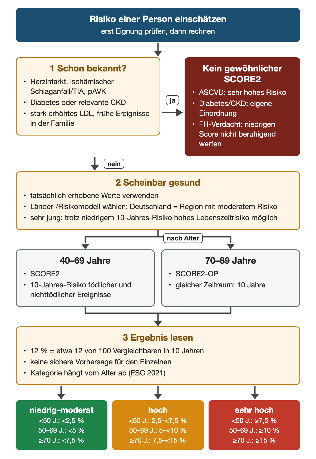 Zuerst wird geprüft, ob bereits Herzinfarkt, ischämischer Schlaganfall/TIA, pAVK, Diabetes, relevante CKD oder ein Verdacht auf familiäre Hypercholesterinämie bekannt ist; dann gilt kein gewöhnlicher SCORE2. Bei scheinbar gesunden Personen werden tatsächlich erhobene Werte und das Länder-/Risikomodell (Deutschland: moderates Risiko) verwendet, nach Alter SCORE2 für 40–69 Jahre oder SCORE2-OP für 70–89 Jahre. 12 % bedeuten etwa 12 von 100 Vergleichbaren in 10 Jahren. Ergebniszeile mit Kategorien nach ESC 2021: niedrig–moderat unter 2,5 / 5 / 7,5 %, hoch 2,5–<7,5 / 5–<10 / 7,5–<15 %, sehr hoch ab 7,5 / 10 / 15 % für unter 50, 50–69 und ab 70 Jahre.