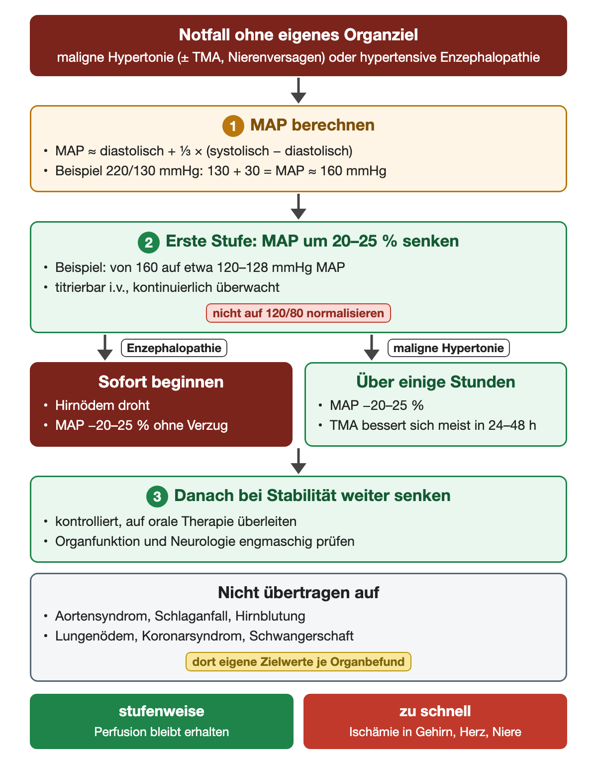 Senkungstempo bei Notfall ohne eigenes Organziel: MAP berechnen, im Beispiel 220/130 mmHg gleich MAP 160; erste Stufe MAP minus 20 bis 25 Prozent auf etwa 120 bis 128; bei Enzephalopathie sofort, bei maligner Hypertonie über einige Stunden, TMA bessert sich meist in 24 bis 48 Stunden; danach bei Stabilität kontrolliert weiter und oral überleiten; nicht auf Aorta, Schlaganfall, Lungenödem, Koronarsyndrom oder Schwangerschaft übertragen, dort gelten eigene Zielwerte je Organbefund.
