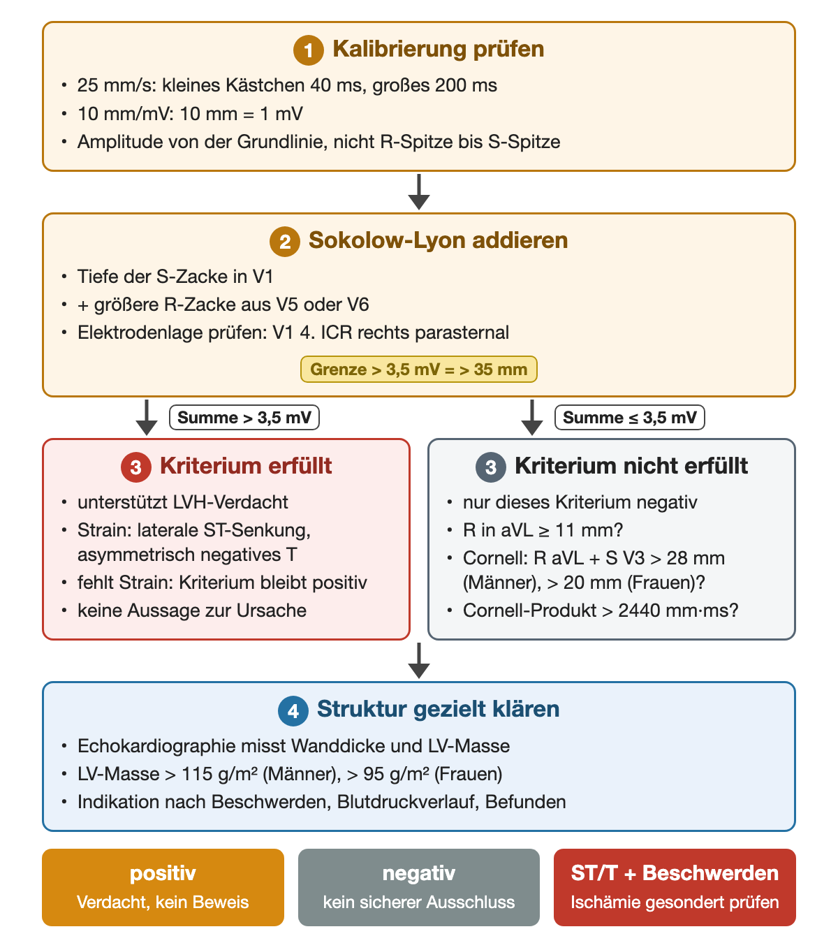 Vier Schritte: 1 Kalibrierung prüfen, bei 25 mm/s kleines Kästchen 40 ms und großes 200 ms, 10 mm entsprechen 1 mV, Amplitude von der Grundlinie messen. 2 Sokolow-Lyon addieren, Tiefe der S-Zacke in V1 plus größere R-Zacke aus V5 oder V6, V1 im 4. Interkostalraum rechts parasternal, Grenze über 3,5 mV gleich über 35 mm. Bei Summe über 3,5 mV ist das Kriterium erfüllt: unterstützt den Hypertrophieverdacht, Strain bedeutet laterale ST-Senkung mit asymmetrisch negativem T, fehlt Strain bleibt das Kriterium positiv, keine Aussage zur Ursache. Bei Summe bis 3,5 mV ist nur dieses Kriterium negativ; ergänzend R in aVL ab 11 mm, Cornell-Spannung über 28 mm bei Männern und über 20 mm bei Frauen, Cornell-Produkt über 2440 mm·ms. 4 Struktur gezielt klären mit Echokardiographie, LV-Masse über 115 bzw. 95 g/m², Indikation nach Beschwerden, Blutdruckverlauf und Befunden. Ergebnis: positiv ist Verdacht, kein Beweis; negativ ist kein sicherer Ausschluss; ST/T-Veränderung mit Beschwerden erfordert eine gesonderte Ischämieabklärung.