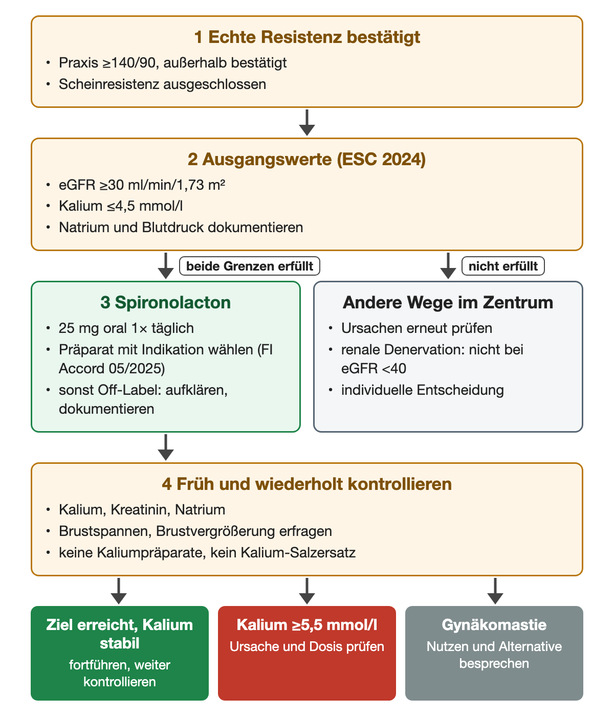 Nach bestätigter echter Resistenz Ausgangswerte prüfen: eGFR mindestens 30 ml/min/1,73 m² und Kalium höchstens 4,5 mmol/l. Sind beide erfüllt, Spironolacton 25 mg oral einmal täglich mit einem Präparat, das die Indikation nennt, sonst Off-Label mit Aufklärung und Dokumentation; andernfalls andere Wege im Zentrum, renale Denervation nicht bei eGFR unter 40. Danach früh und wiederholt Kalium, Kreatinin und Natrium kontrollieren und nach Brustspannen fragen.