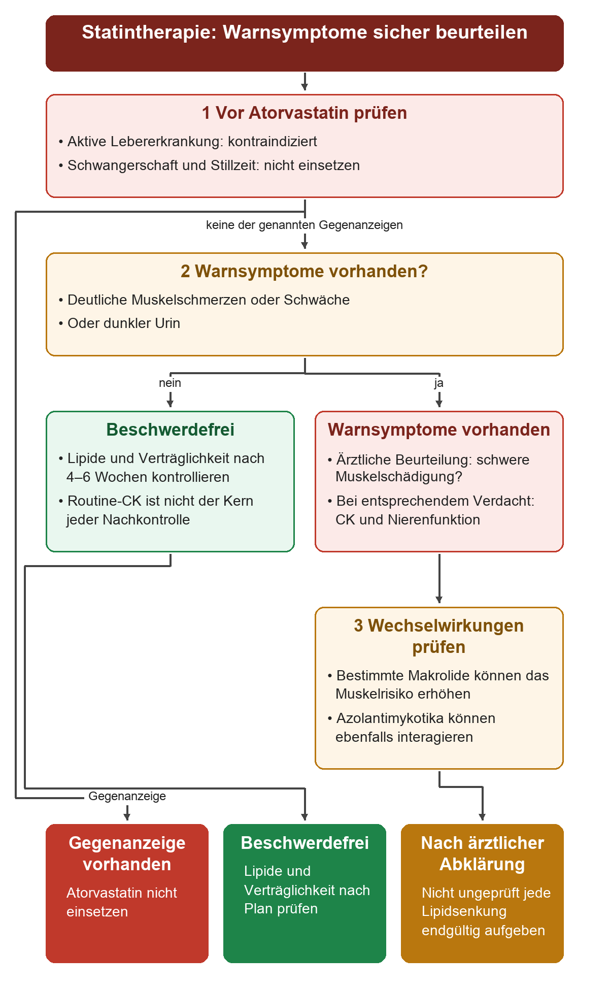 Vor Atorvastatin werden aktive Lebererkrankung, Schwangerschaft und Stillzeit geprüft. Ohne diese Gegenanzeigen wird nach neuen deutlichen Muskelschmerzen, Schwäche oder dunklem Urin gefragt. Bei Beschwerdefreiheit folgen Lipid- und Verträglichkeitskontrollen nach vier bis sechs Wochen. Bei diesen Warnsymptomen werden ärztlich eine mögliche schwere Muskelschädigung mit CK und Nierenfunktion sowie Wechselwirkungen mit Makroliden oder Azolantimykotika geprüft; nicht jede Lipidsenkung wird ohne weitere Prüfung endgültig aufgegeben.