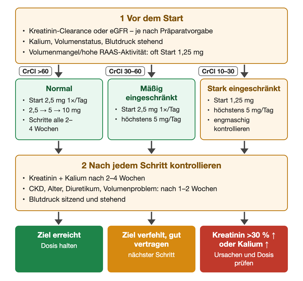 Vor dem Ramipril-Start Nierenfunktion, Kalium, Volumen und stehenden Blutdruck prüfen. Bei Kreatinin-Clearance über 60 ml/min Start mit 2,5 mg und Steigerung über 5 auf 10 mg in Schritten von 2–4 Wochen; bei 30–60 ml/min Start 2,5 mg, höchstens 5 mg; bei 10–30 ml/min Start 1,25 mg, höchstens 5 mg. Nach jedem Schritt Kreatinin und Kalium nach 2–4 Wochen, bei Risiko nach 1–2 Wochen.
