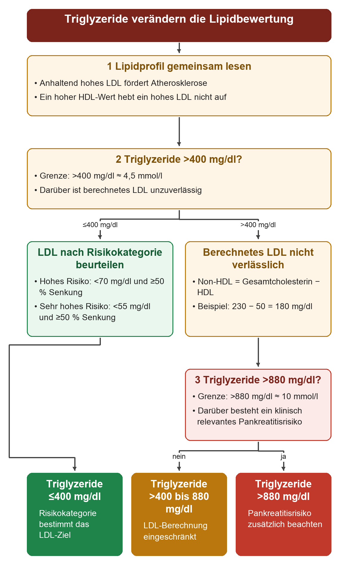Das Lipidprofil wird zusammen mit dem Risiko gelesen; hohes HDL hebt hohes LDL nicht auf. Bei Triglyzeriden über 400 mg/dl beziehungsweise 4,5 mmol/l ist berechnetes LDL unzuverlässig. Non-HDL entspricht Gesamtcholesterin minus HDL, im Beispiel 230 minus 50 gleich 180 mg/dl. Über 880 mg/dl beziehungsweise 10 mmol/l besteht zusätzlich ein klinisch relevantes Pankreatitisrisiko. Unterhalb der 400-mg/dl-Grenze wird das LDL nach vorher bestimmter Risikokategorie beurteilt.