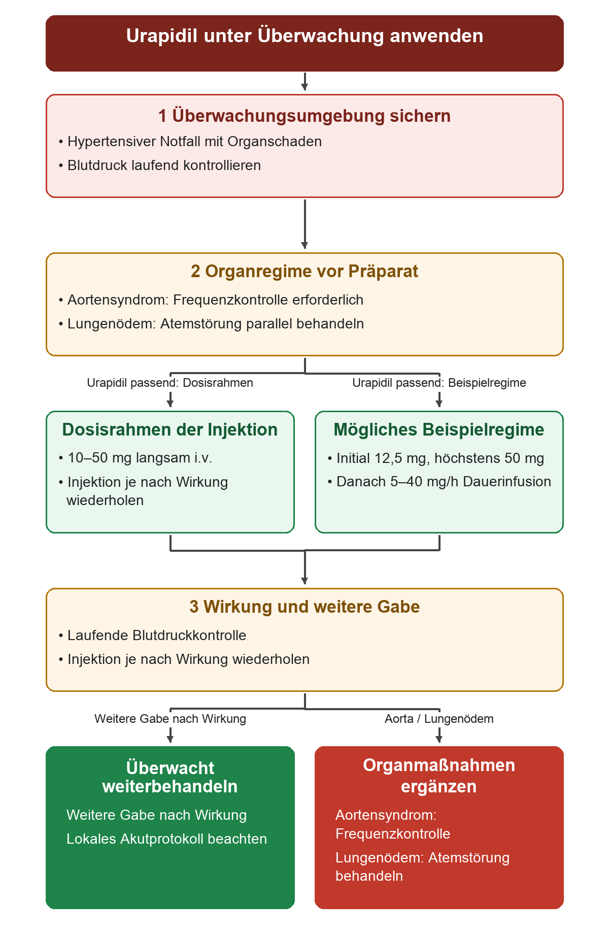 Vor intravenösem Urapidil werden Überwachungsumgebung, Organregime, Begleitmedikation, Organfunktion und lokales Akutprotokoll geprüft. Die Fachinformation nennt 10 bis 50 mg langsam intravenös mit Wiederholung je nach Wirkung. Das NVL-Beispiel beginnt mit 12,5 mg bis höchstens 50 mg und führt bei Bedarf zur Dauerinfusion von 5 bis 40 mg pro Stunde. Die Angaben stehen nebeneinander und werden nicht als aufeinanderfolgende Anfangsdosen gelesen. Unter laufender Blutdruckkontrolle wird die weitere Gabe angepasst. Bei Aortensyndrom bleibt Frequenzkontrolle erforderlich, bei Lungenödem die Behandlung der Atemstörung.