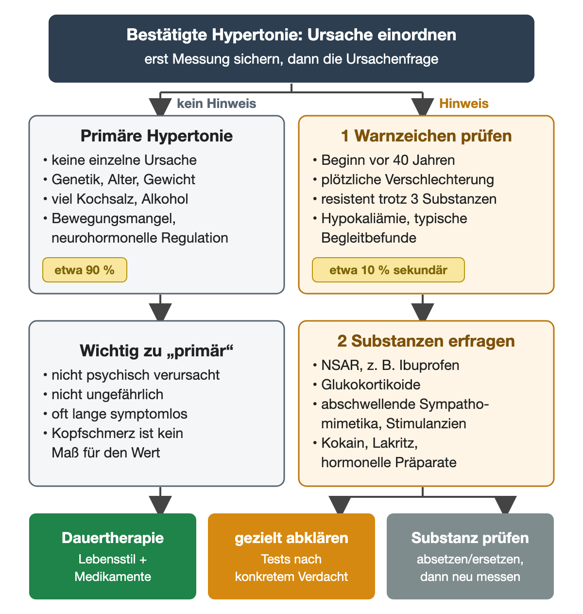 Von der bestätigten Hypertonie führen zwei Wege: links die primäre Hypertonie mit etwa 90 Prozent und zusammenwirkenden Faktoren, rechts zwei nummerierte Schritte bei sekundärem Verdacht, Warnzeichen wie Beginn vor 40 Jahren und drucksteigernde Substanzen; unten drei farbige Ergebnisse: Dauertherapie, gezielte Abklärung oder Substanz absetzen und neu messen.