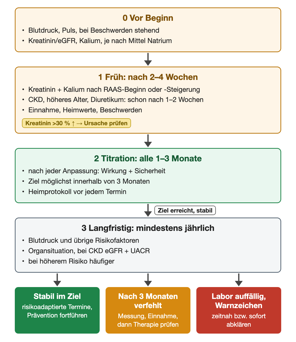 Zeitachse von oben nach unten: 0 vor Beginn Blutdruck, Puls, gegebenenfalls stehend, Kreatinin/eGFR, Kalium und je nach Mittel Natrium; 1 früh nach zwei bis vier Wochen Kreatinin und Kalium nach RAAS-Beginn oder -Steigerung, bei CKD, höherem Alter oder Diuretikum schon nach ein bis zwei Wochen, Etikett Kreatininanstieg über 30 Prozent heißt Ursache prüfen; 2 Titration alle ein bis drei Monate, Ziel möglichst innerhalb von drei Monaten, Heimprotokoll vor jedem Termin; nach Zielerreichung 3 langfristig mindestens jährlich Blutdruck, Risikofaktoren und Organsituation. Ergebniszeile: stabil im Ziel, nach drei Monaten verfehlt, Labor auffällig oder Warnzeichen.