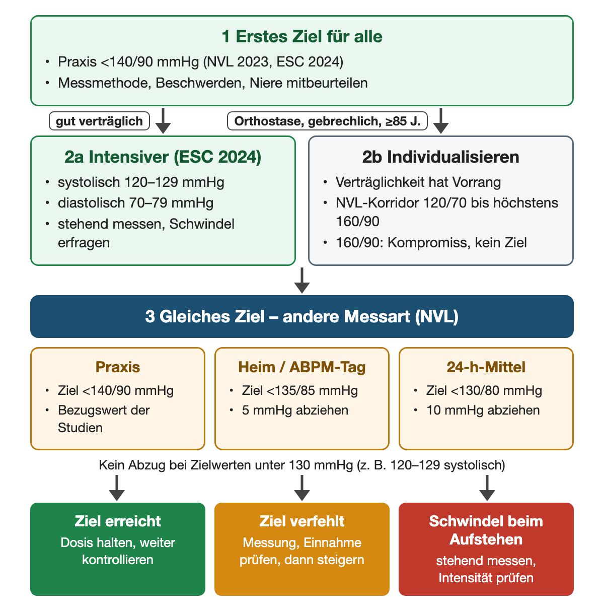 Erstes Ziel für alle unter 140/90 mmHg in der Praxis. Bei guter Verträglichkeit systolisch 120–129 und diastolisch 70–79 mmHg; bei Orthostase, Gebrechlichkeit oder ab 85 Jahren individualisieren, NVL-Korridor 120/70 bis höchstens 160/90 mmHg. Je nach Messart: Praxis unter 140/90, Heim und ABPM-Tag unter 135/85, 24-Stunden-Mittel unter 130/80 mmHg; kein Abzug unter 130 mmHg.