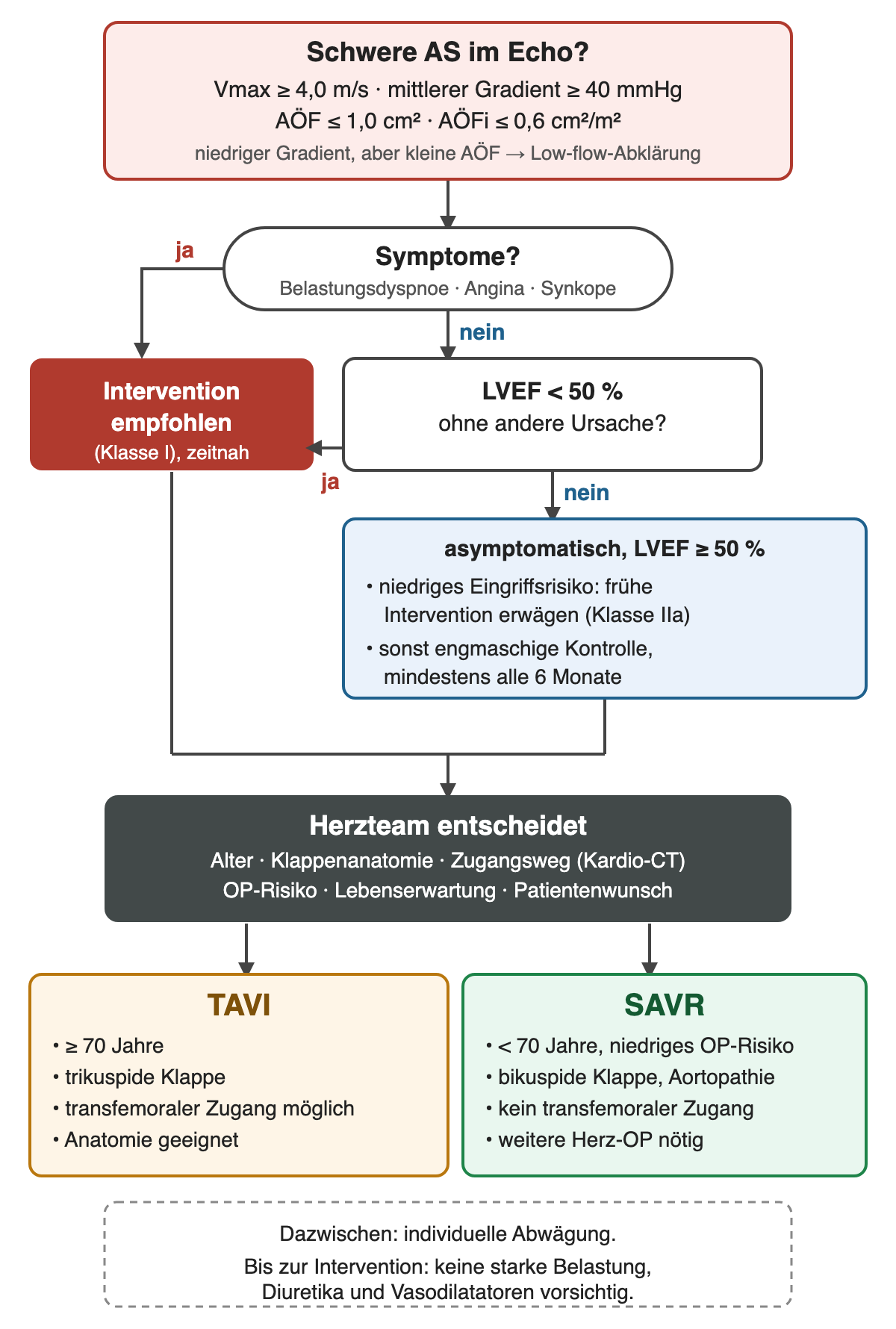 Entscheidungspfad bei Aortenstenose: Schweregrad, Symptome, LVEF, Herzteam, TAVI oder SAVR
