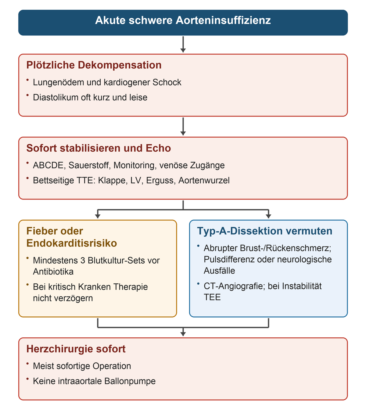Von Lungenödem oder Schock über ABCDE und sofortige TTE zu zwei Ursachenpfaden: Blutkulturen bei Endokarditisverdacht oder CT beziehungsweise TEE bei Dissektion; danach sofortige Herzchirurgie und Verzicht auf IABP.