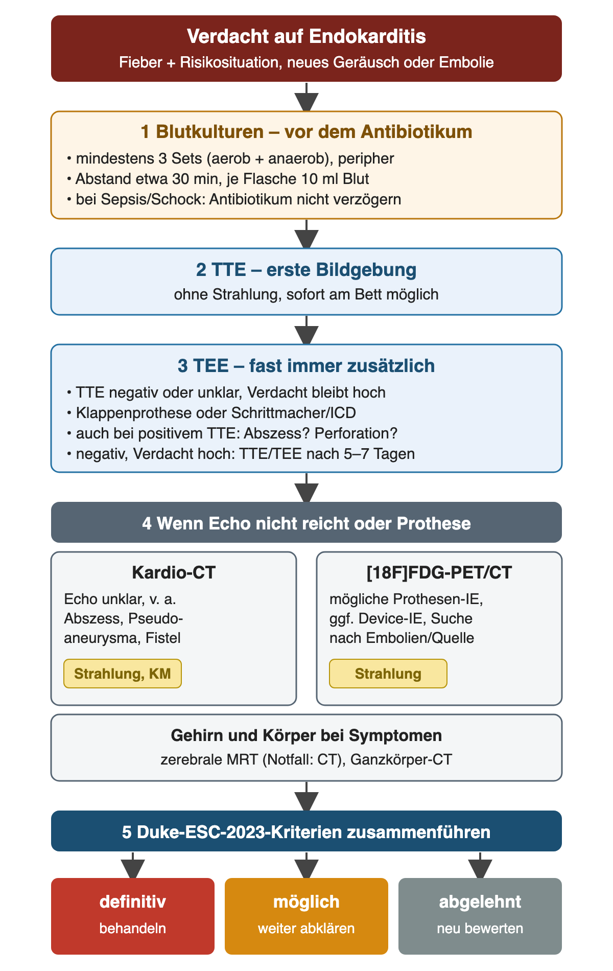 Diagnostikpfad: Verdacht, drei Blutkultur-Sets, TTE, TEE, bei Bedarf Kardio-CT und FDG-PET/CT, Bildgebung von Gehirn und Körper, Einordnung nach Duke-ESC-2023