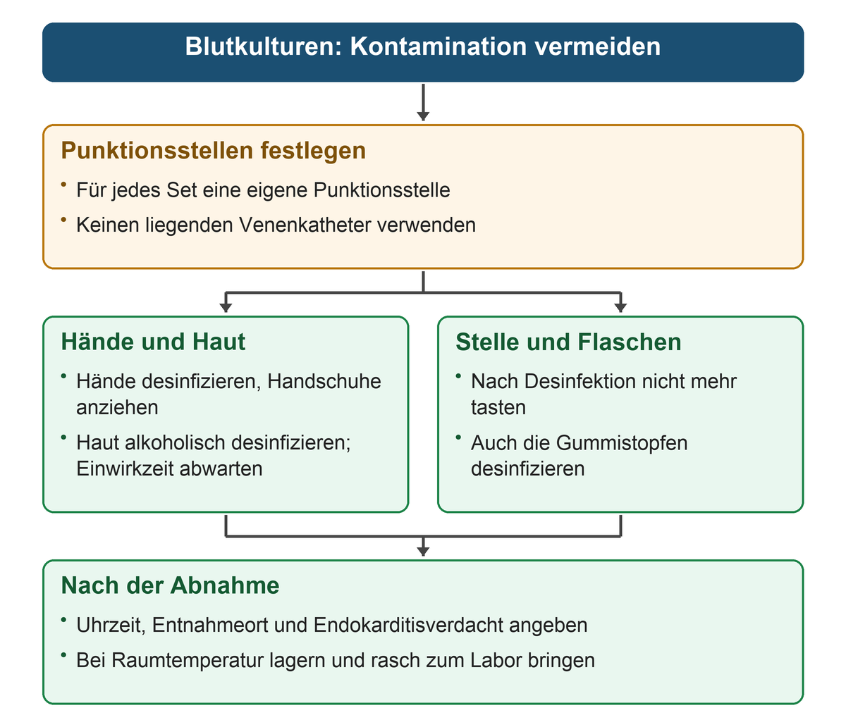 Zuerst werden getrennte periphere Punktionsstellen geplant; zwei parallele Kästen zeigen Händehygiene und Hautdesinfektion sowie die unberührte Punktionsstelle und desinfizierte Stopfen; nach der Abnahme folgen Beschriftung und Transport.