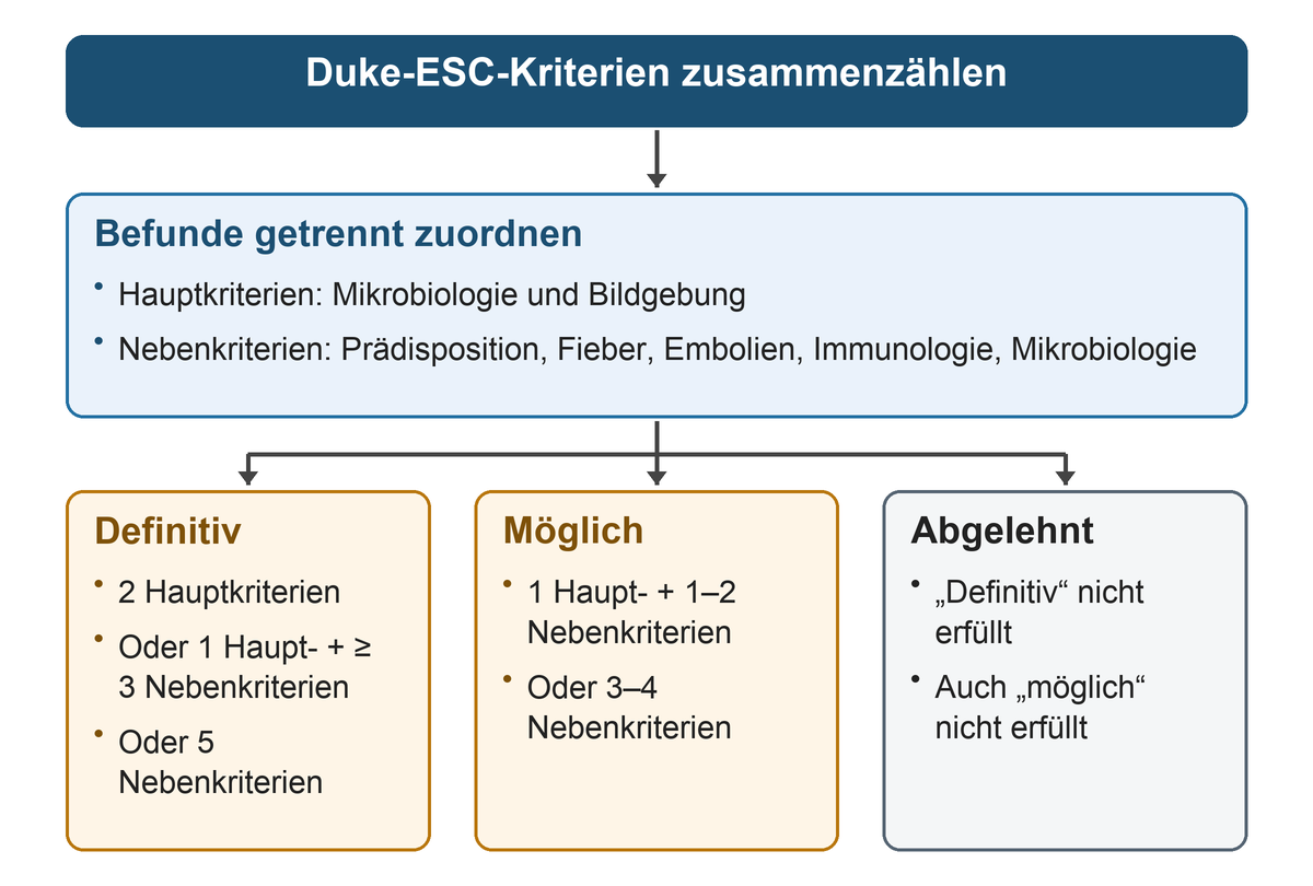 Nach der getrennten Zuordnung von Haupt- und Nebenkriterien verzweigt das Schema in die Kombinationen für definitive, mögliche und abgelehnte Endokarditis.
