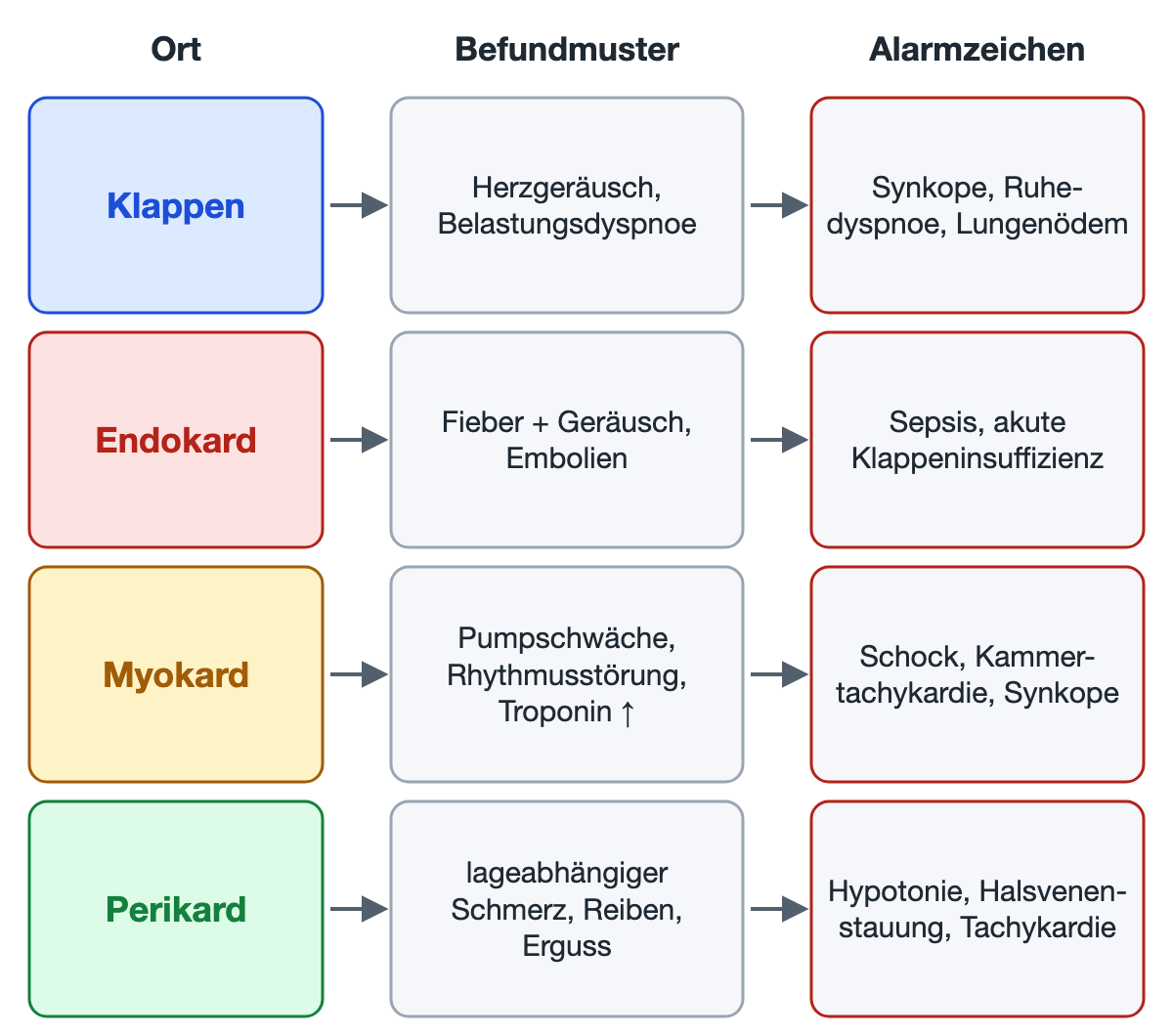 Vier Zeilen von links nach rechts: Klappen, Endokard, Myokard und Perikard, jeweils mit Pfeil zu ihrem Befundmuster und weiter zu den Alarmzeichen