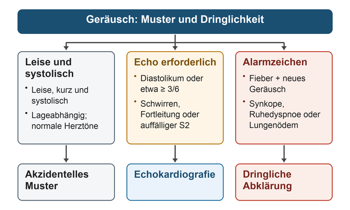 Drei Wege von oben nach unten: leises kurzes systolisches Geräusch als akzidentelles Muster, pathologische Geräuschmerkmale zur Echokardiografie, Fieber mit neuem Geräusch oder Geräusch mit Synkope, Ruhedyspnoe beziehungsweise Lungenödem zur dringlichen Abklärung.