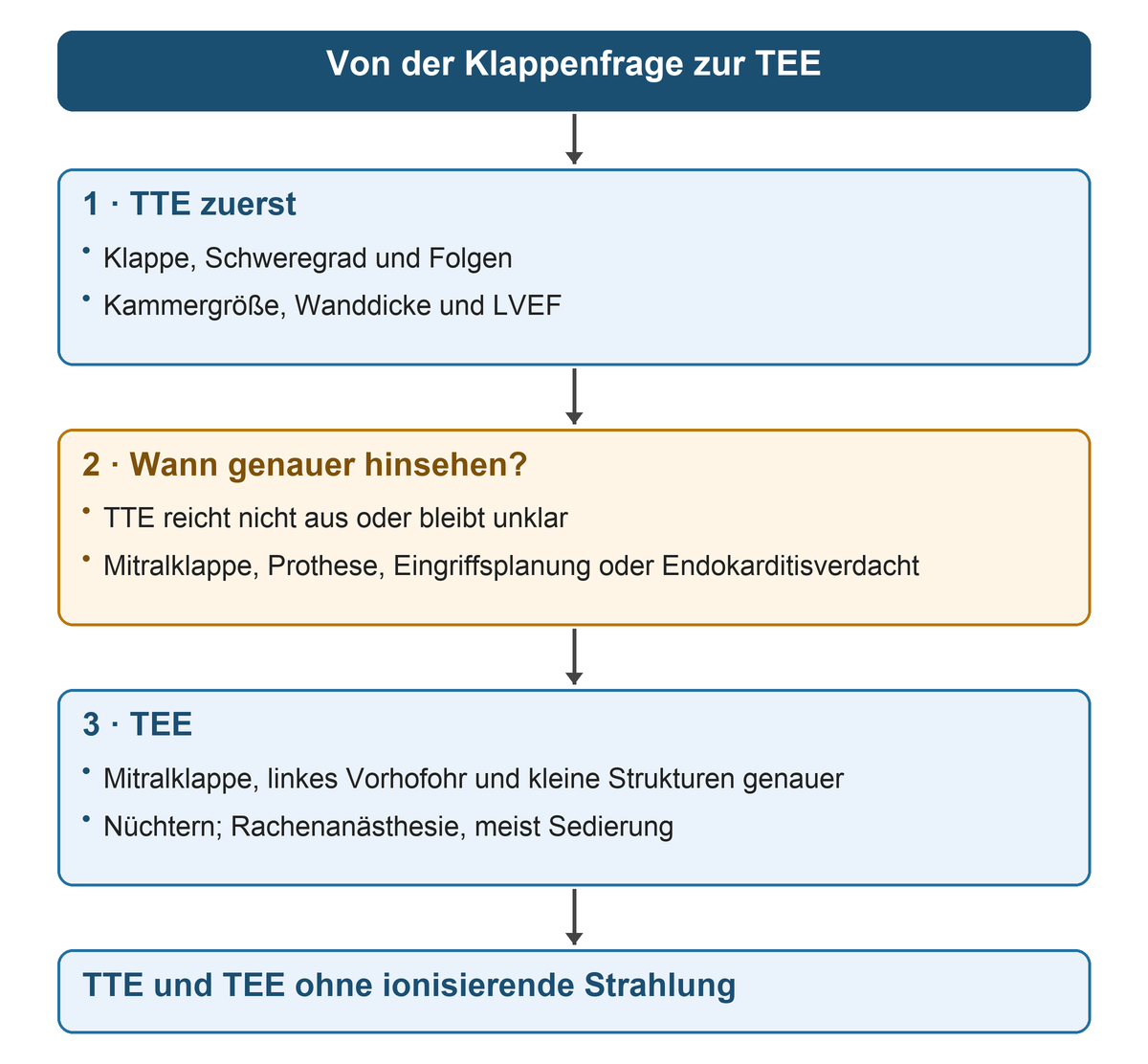 Von oben nach unten: TTE als erste Untersuchung, Bedingungen für eine genauere Beurteilung, TEE mit ihren Zielstrukturen und der Vorbereitung.