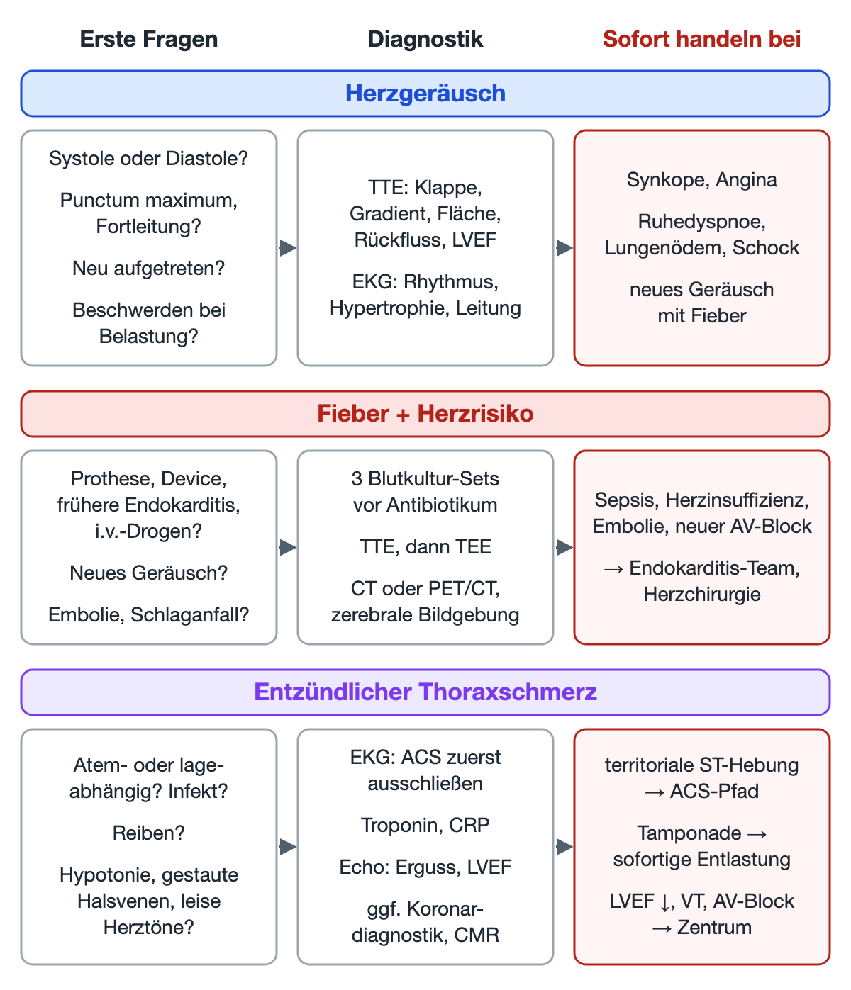 Leitsymptom-Navigator mit drei Zeilen: Herzgeräusch, Fieber mit Herzrisiko und entzündlicher Thoraxschmerz; für jede Zeile drei Kästen von links nach rechts: erste Fragen, Diagnostik und Situationen, in denen sofort gehandelt werden muss