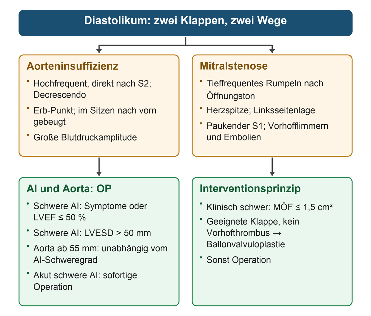 Links Aorteninsuffizienz mit frühem hochfrequentem Decrescendo am Erb-Punkt und Operationsauslösern, rechts Mitralstenose mit tiefem Rumpeln nach dem Öffnungston an der Spitze und MÖF-basierter Entscheidung zur Ballonvalvuloplastie oder Operation.