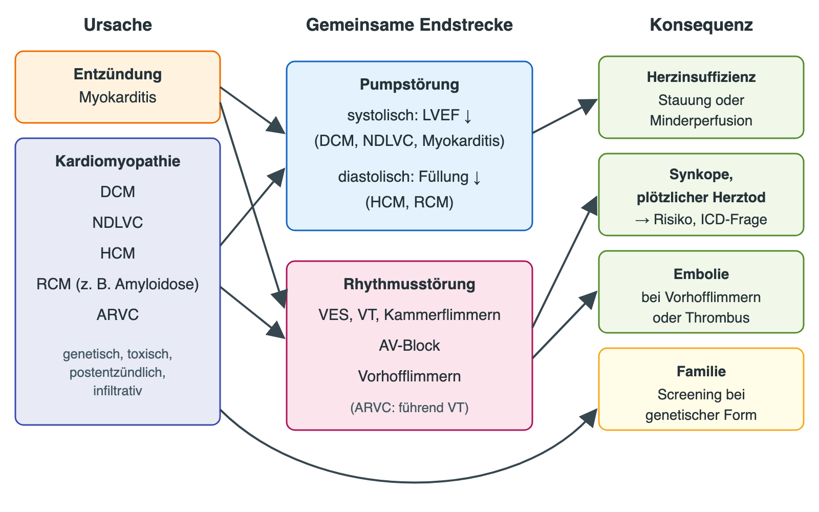 Flussdiagramm: Myokarditis und Kardiomyopathien führen über Pumpstörung und Rhythmusstörung zu Herzinsuffizienz, Synkope oder plötzlichem Herztod, Embolie und Familienscreening