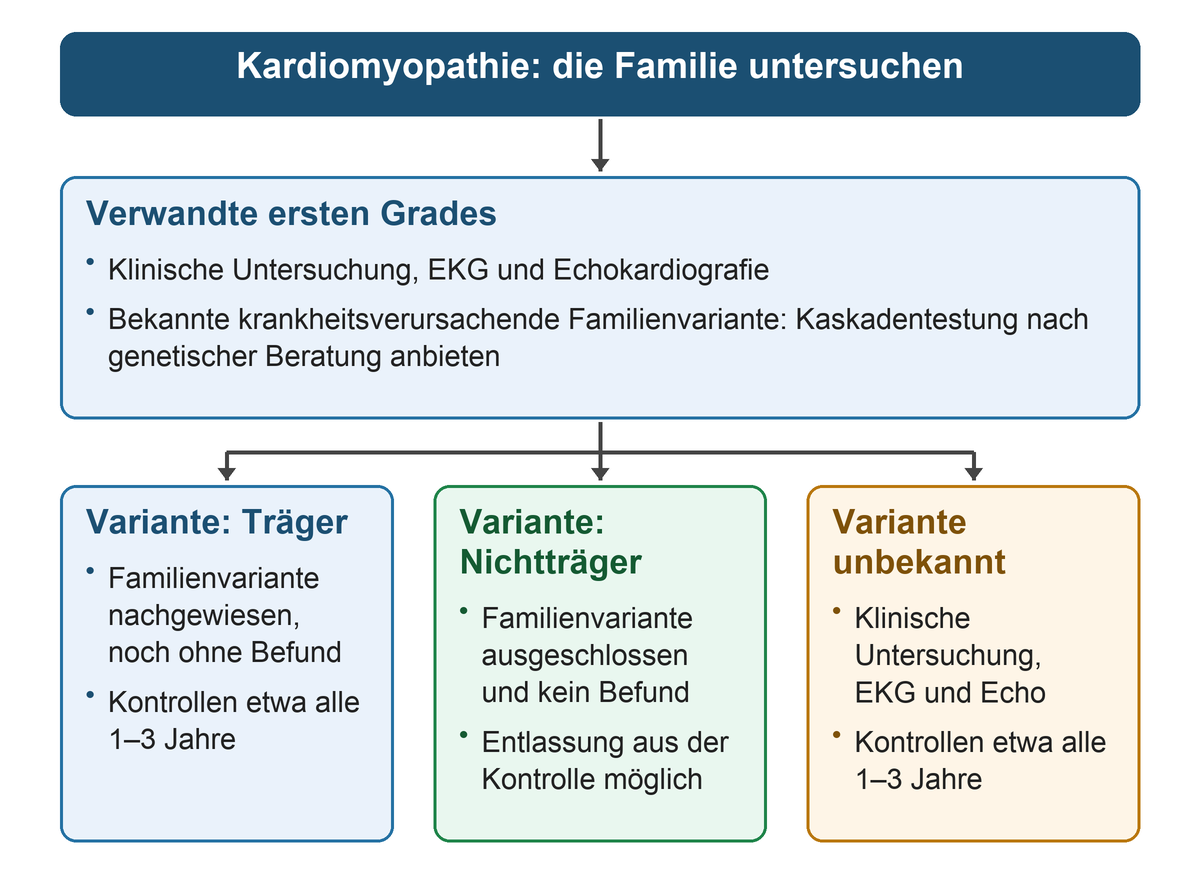 Alle Verwandten ersten Grades erhalten klinische Untersuchung, EKG und Echo; die weiteren Wege unterscheiden bekannte Familienvariante und Familie ohne gesicherte Variante sowie Kontrollen für Träger und mögliche Entlassung von Nichtträgern ohne Befund.