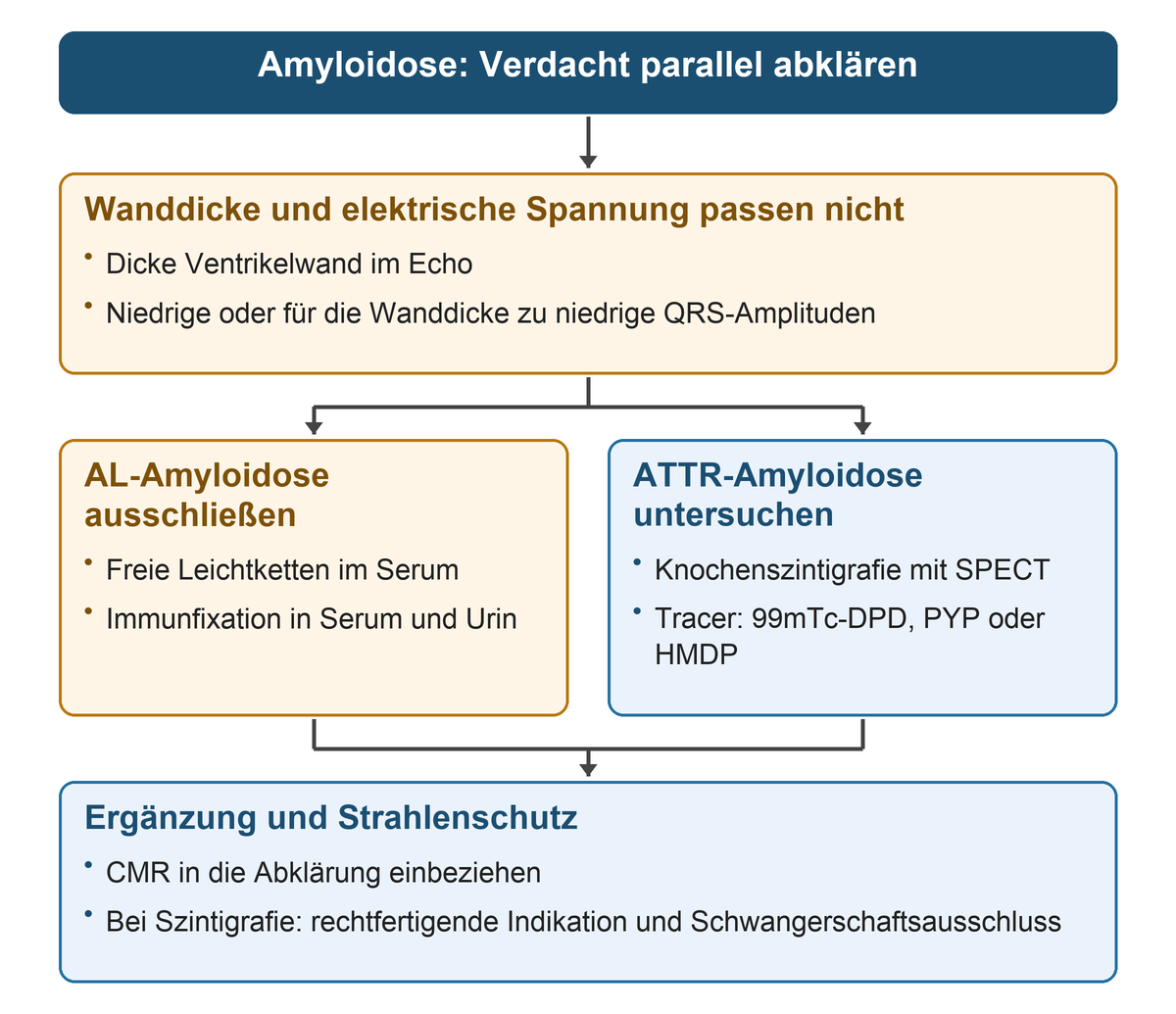Dicke Wand und niedrige QRS-Amplituden führen zu zwei parallelen Untersuchungswegen: freie Leichtketten und Immunfixation für AL sowie Knochenszintigrafie mit SPECT für ATTR; ergänzt werden CMR und Strahlenschutz bei der Szintigrafie.