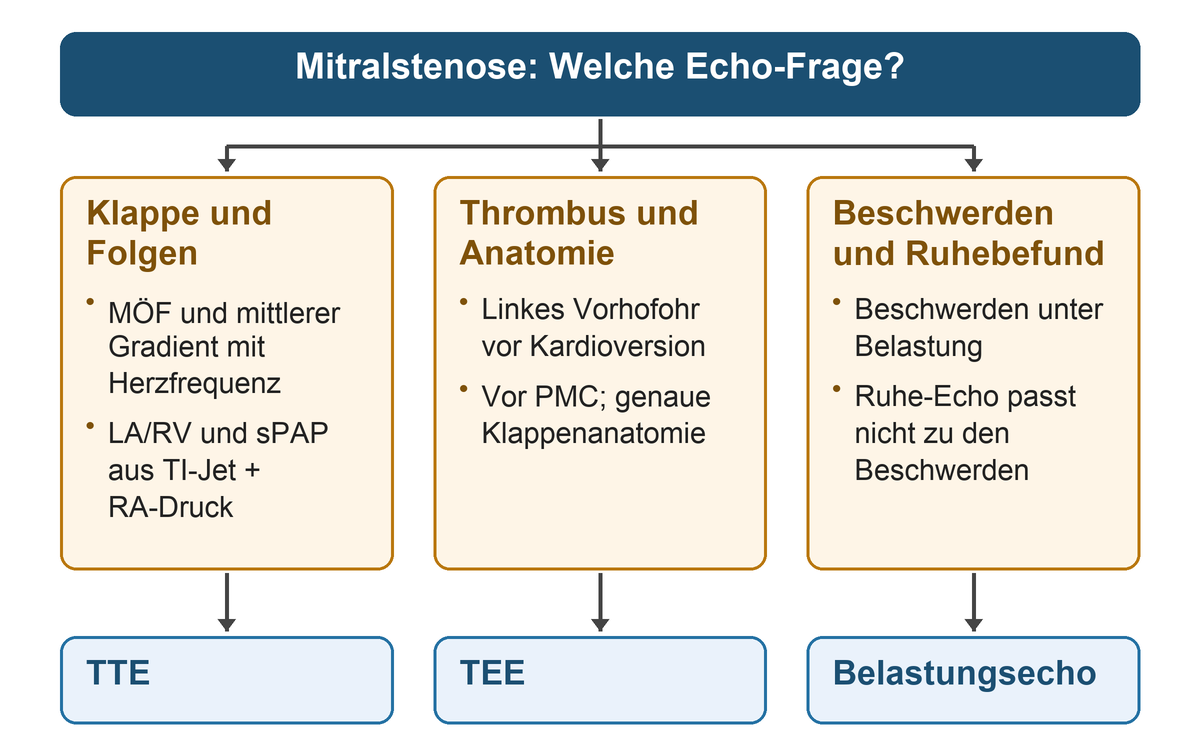 Drei Spalten ordnen die Frage der Untersuchung zu: Klappenfläche und hämodynamische Folgen zur TTE, Thrombus und genaue Anatomie zur TEE, widersprüchliche Beschwerden und Ruhewerte zum Belastungsecho.