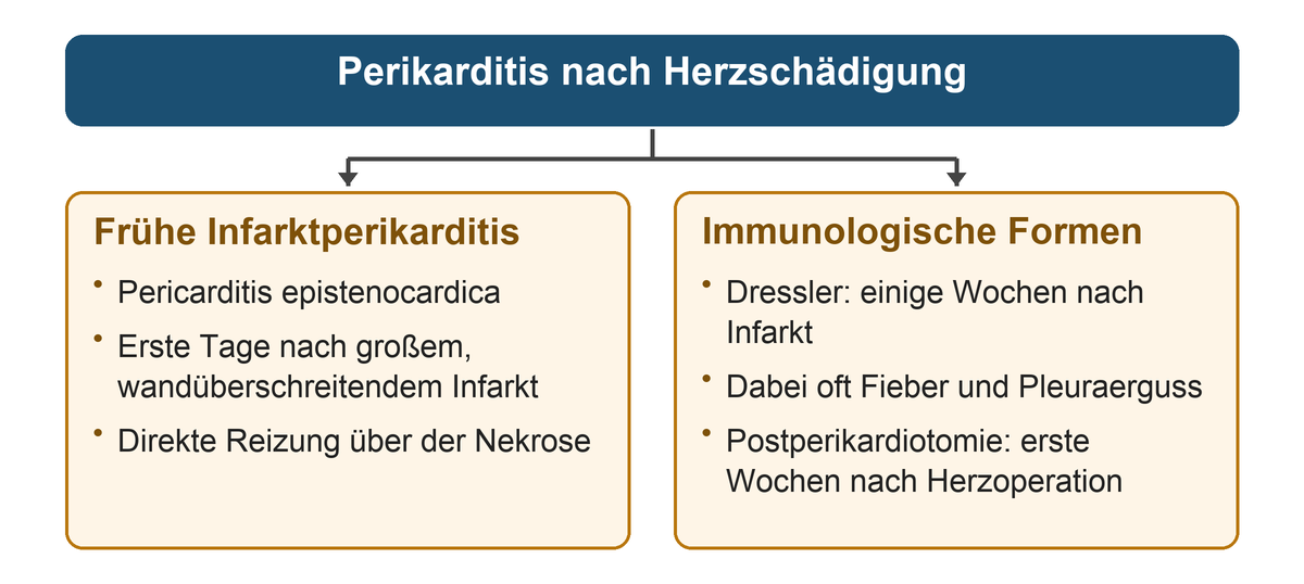 Zwei Äste unterscheiden die frühe Perikarditis in den ersten Tagen nach großem Infarkt mit direkter Reizung von Dressler einige Wochen nach Infarkt und Postperikardiotomie in den ersten Wochen nach Herzoperation als immunologische Formen.