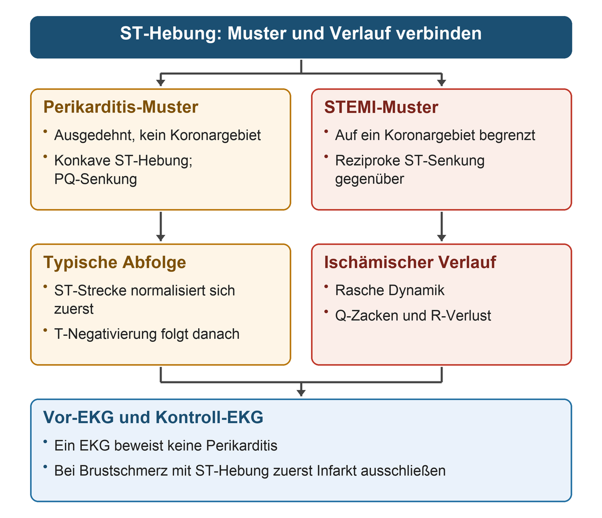 Zwei parallele Wege verbinden Verteilung und Verlauf: ausgedehnte ST-Hebung mit PQ-Senkung und späterer T-Negativierung bei Perikarditis gegenüber territorialer Hebung mit Gegenbewegung und Q-Zacken beim STEMI; beide münden in Vor-EKG-Vergleich und Kontroll-EKG.